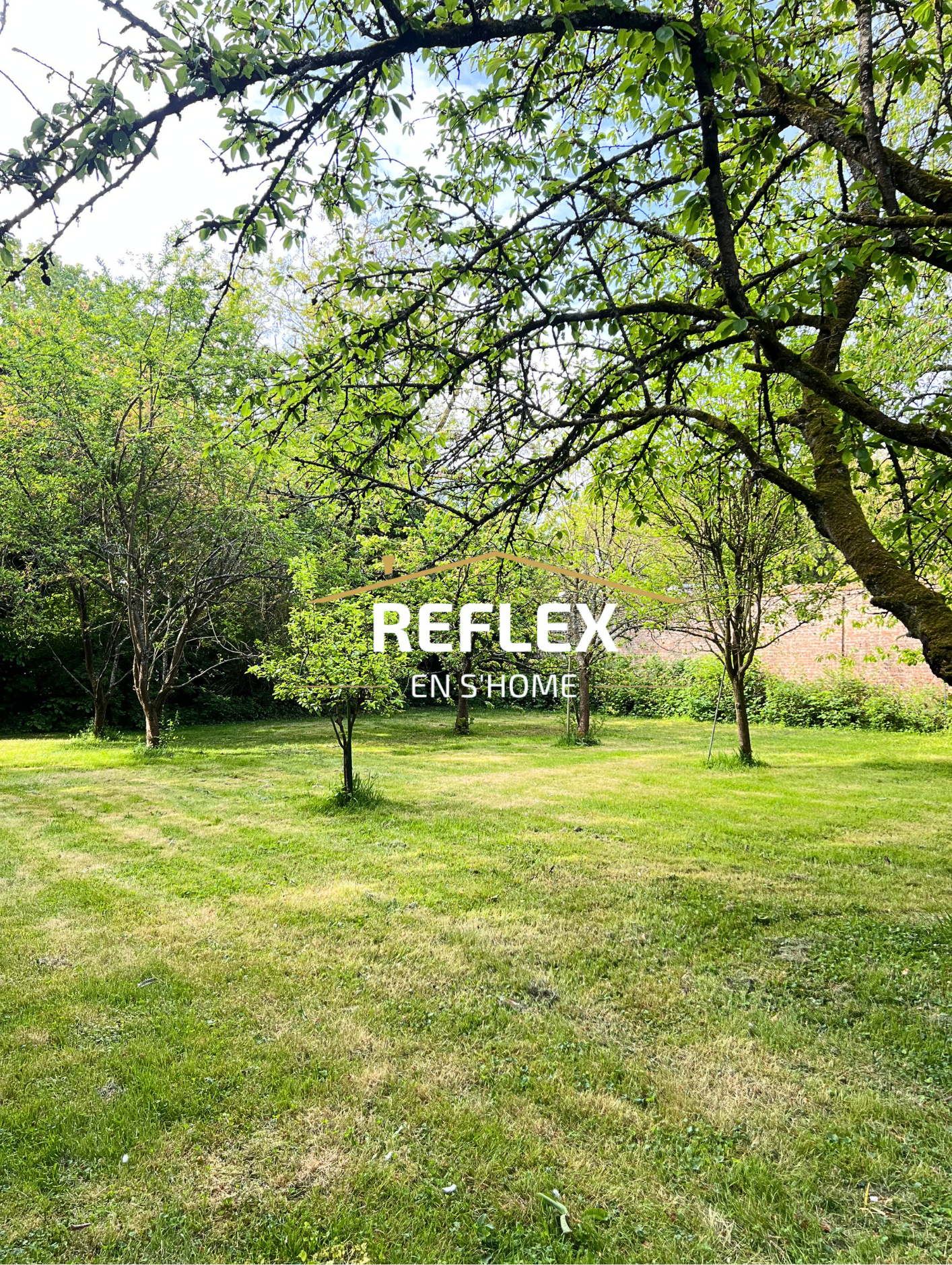 Photo 13 — REFLEX EN S'HOME ALBERT