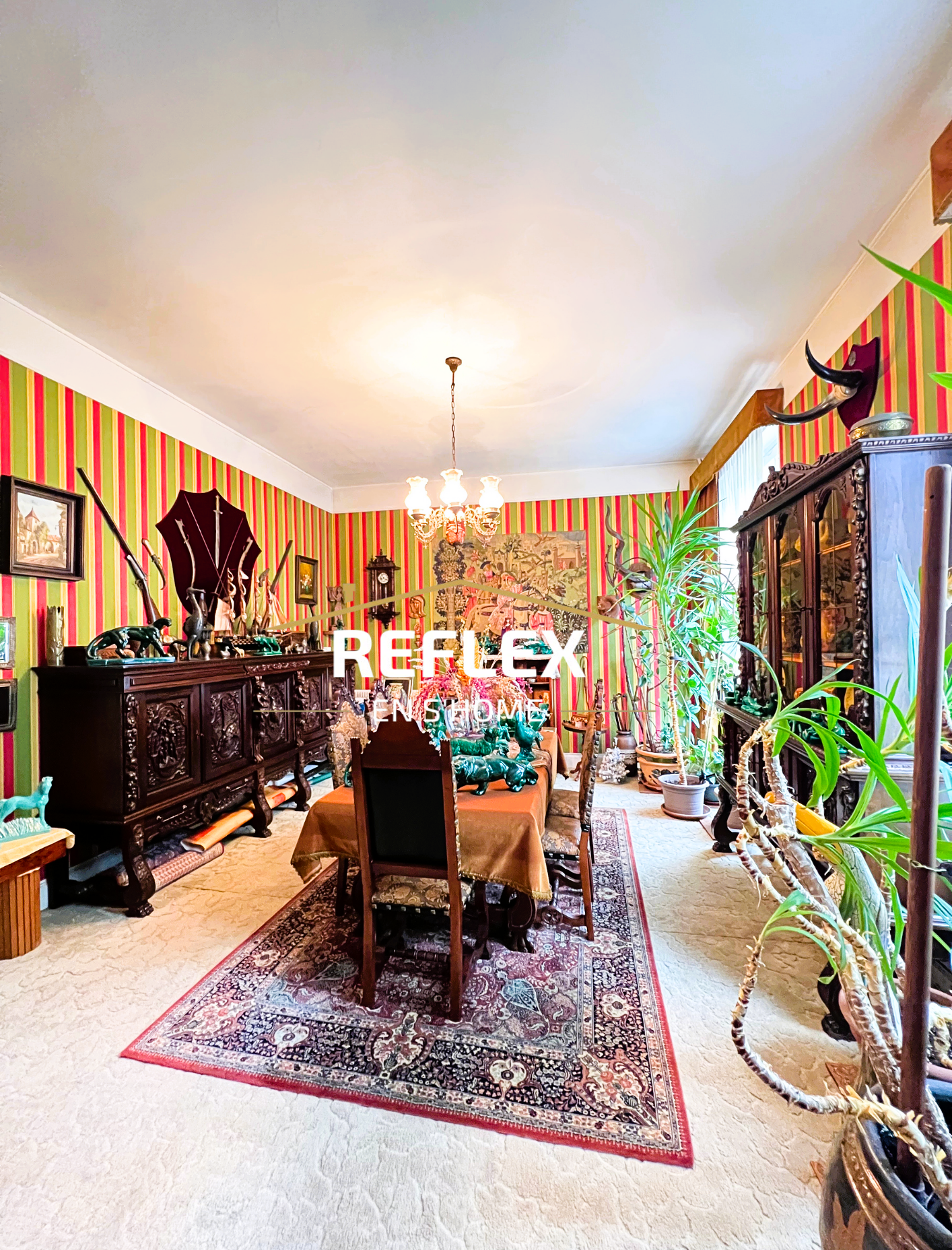 Photo 16 — REFLEX EN S'HOME ALBERT
