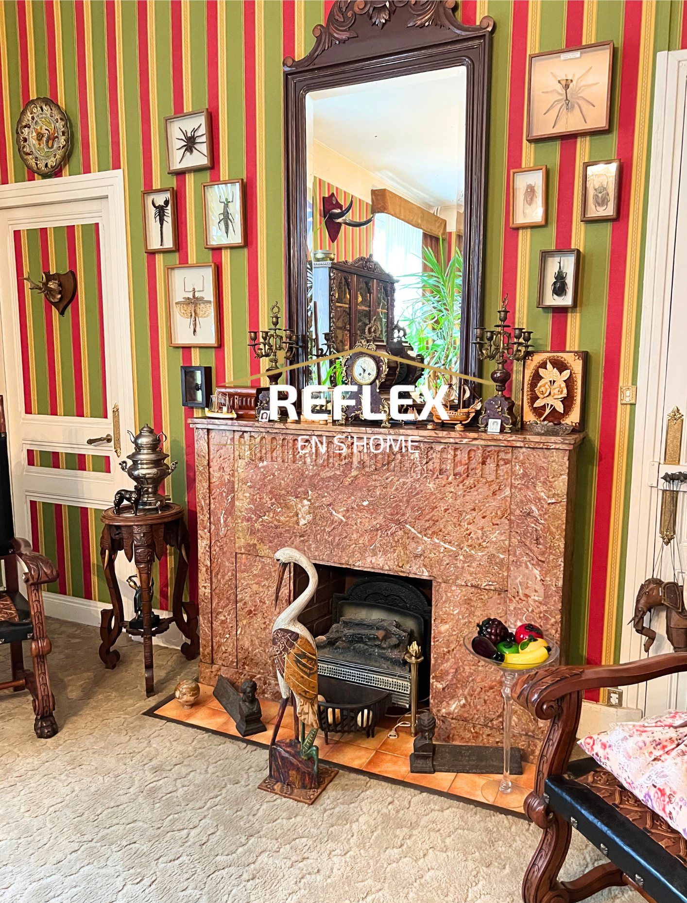 Photo 8 — REFLEX EN S'HOME ALBERT