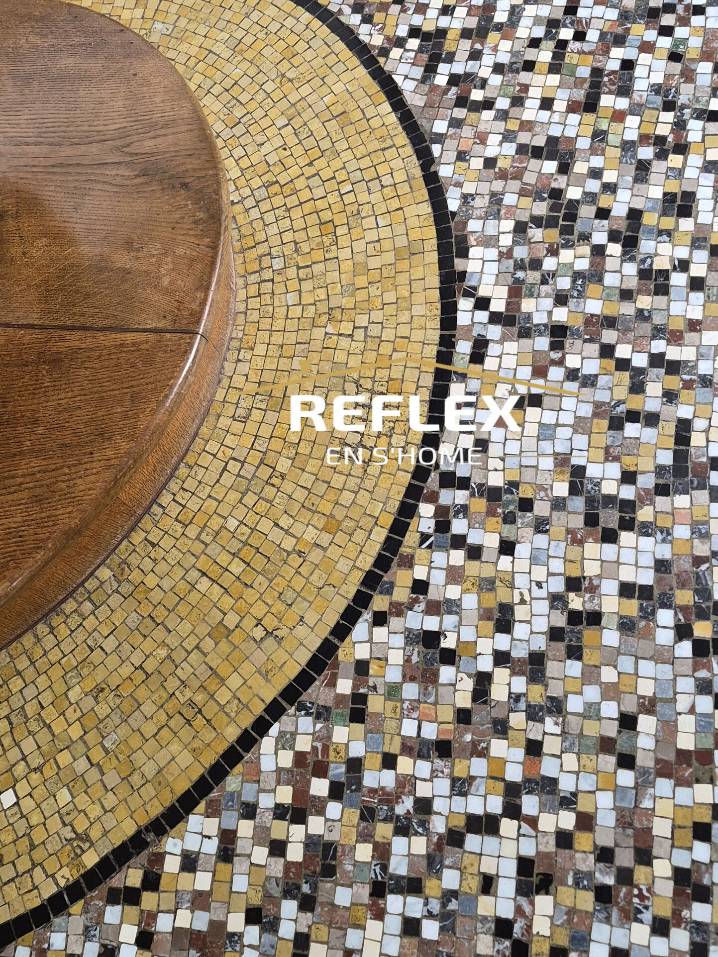 Photo 4 — REFLEX EN S'HOME ALBERT