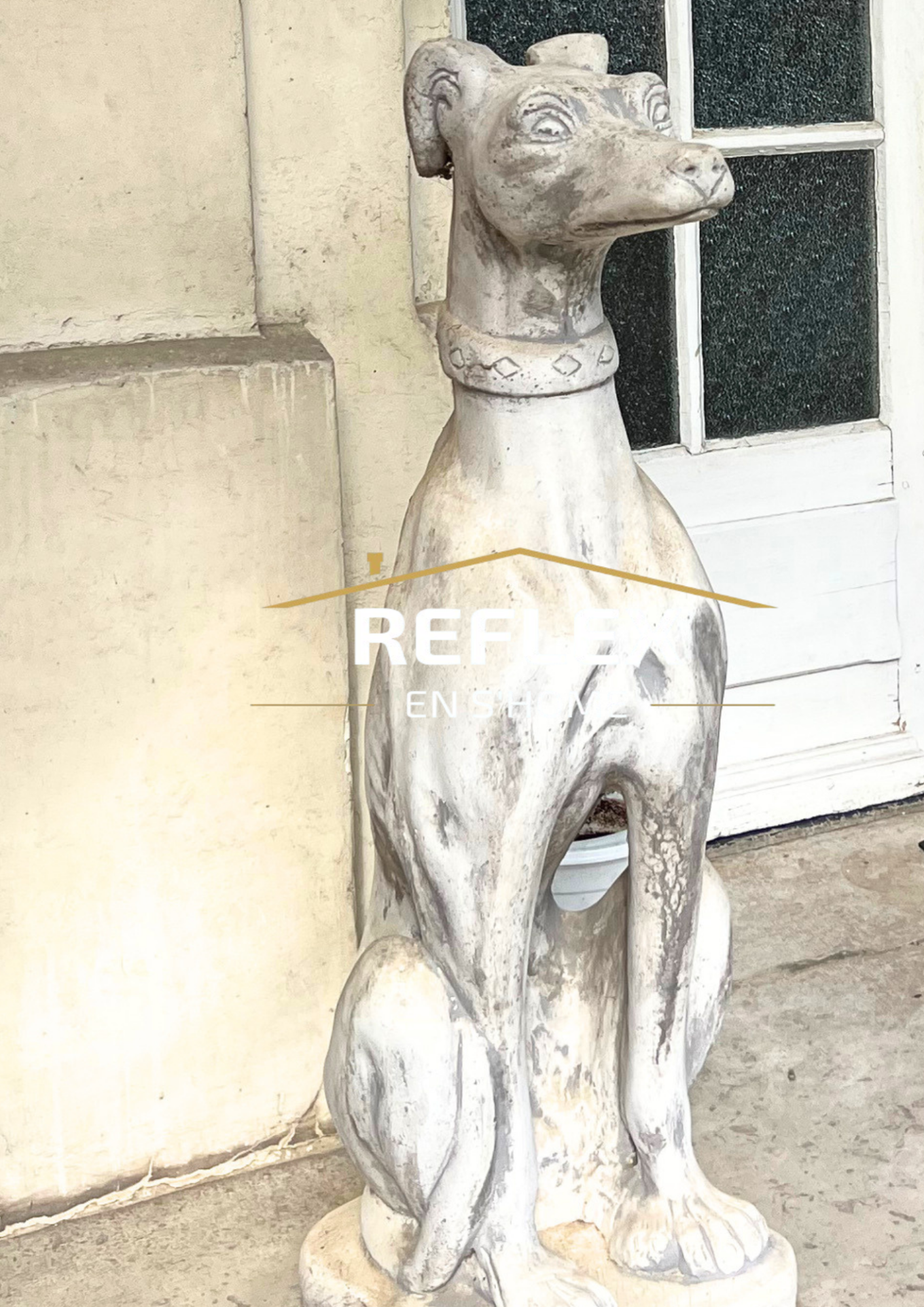 Photo 3 — REFLEX EN S'HOME ALBERT