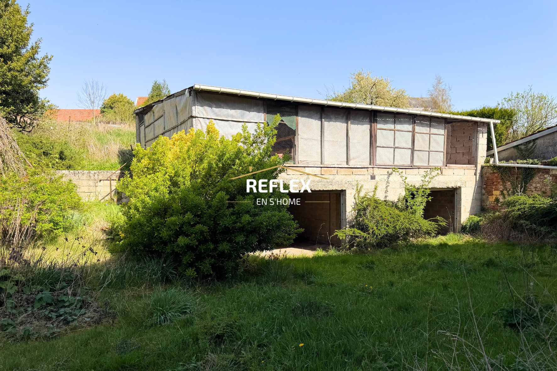 Photo 5 — REFLEX EN S'HOME ALBERT
