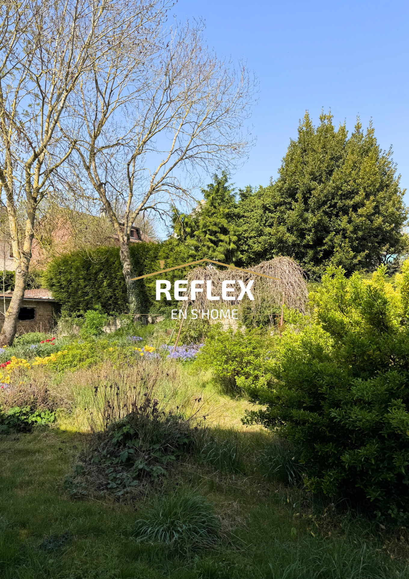 Photo 8 — REFLEX EN S'HOME ALBERT