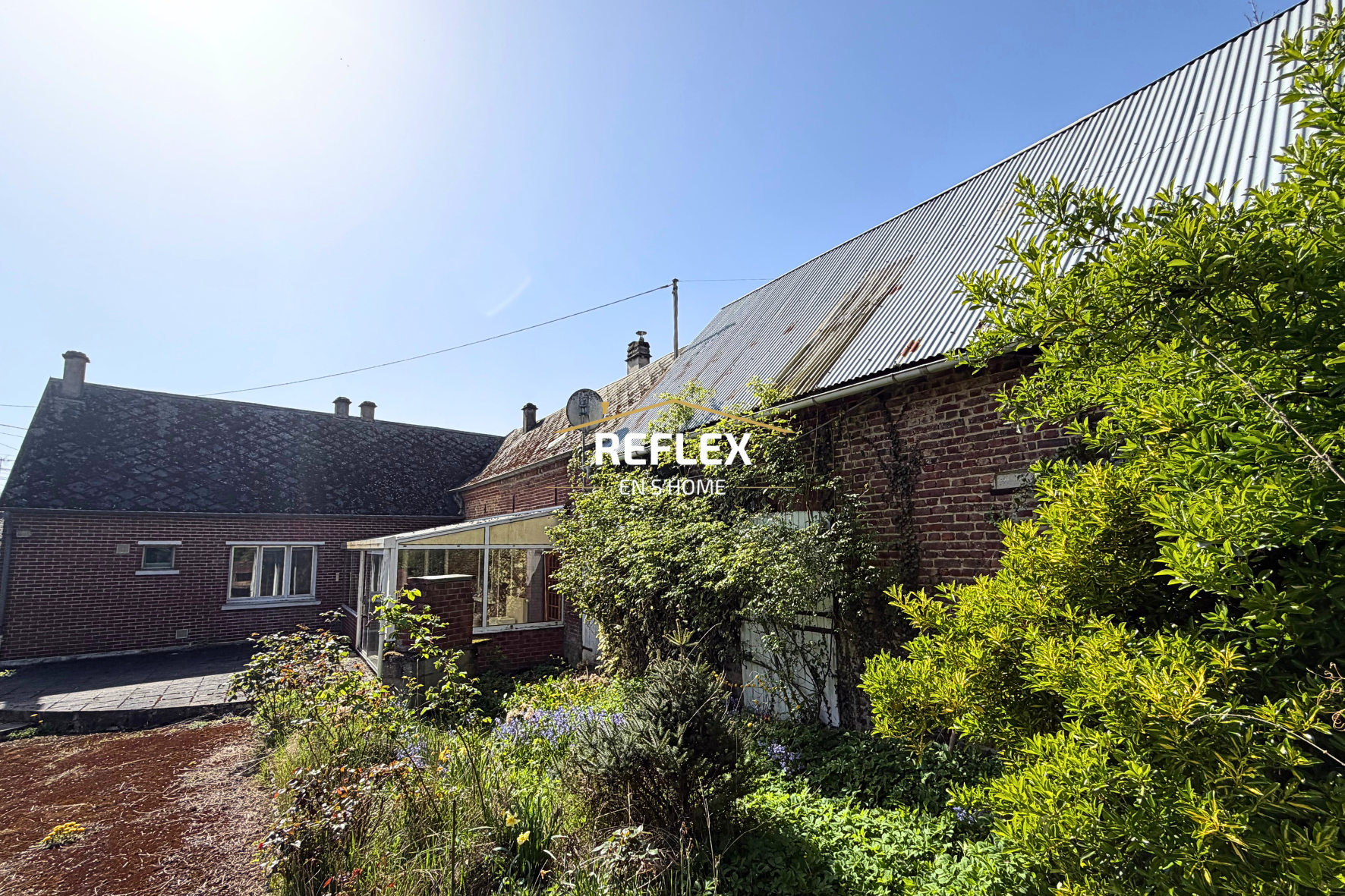 Photo 9 — REFLEX EN S'HOME ALBERT