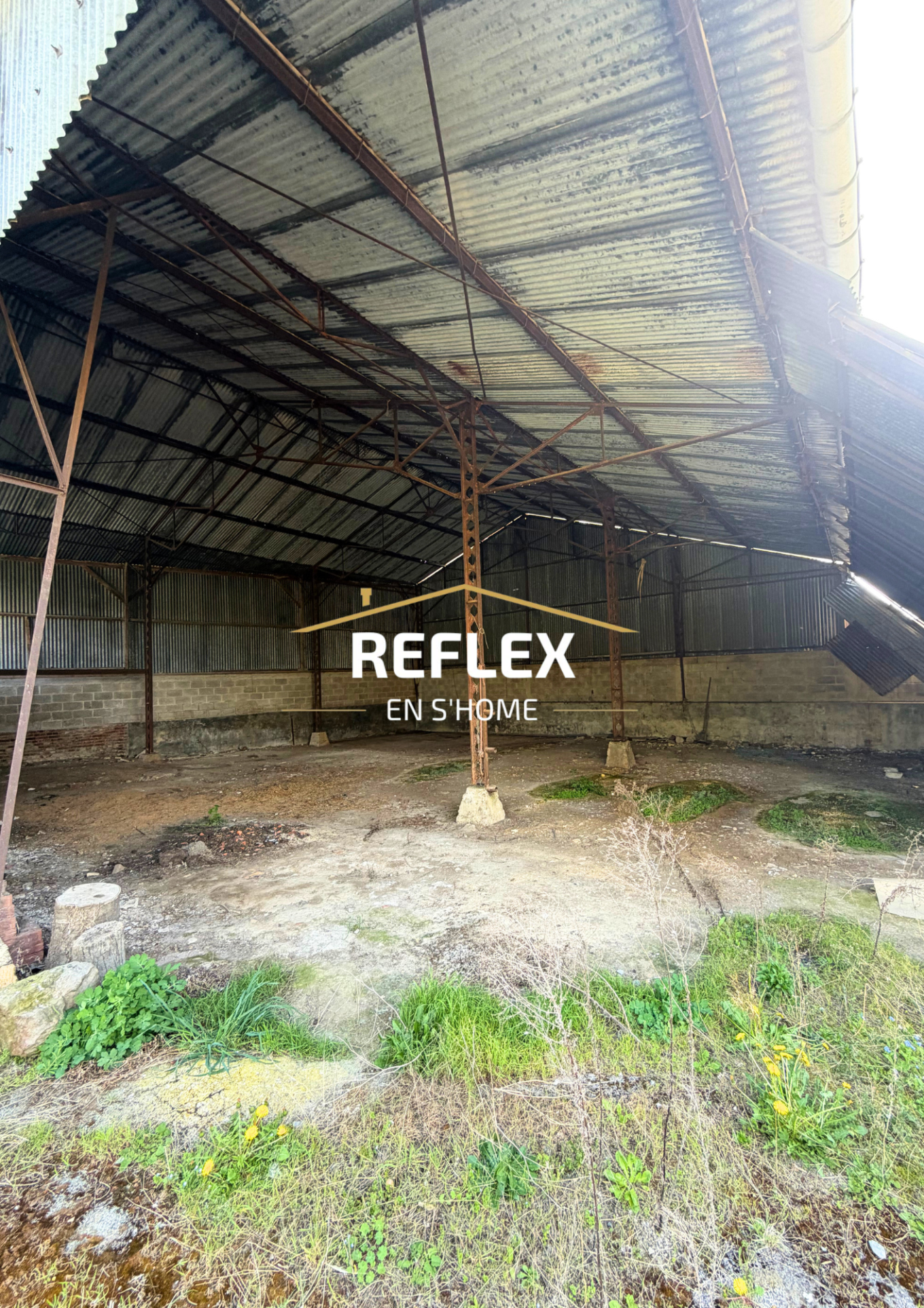 Photo 7 — REFLEX EN S'HOME ALBERT
