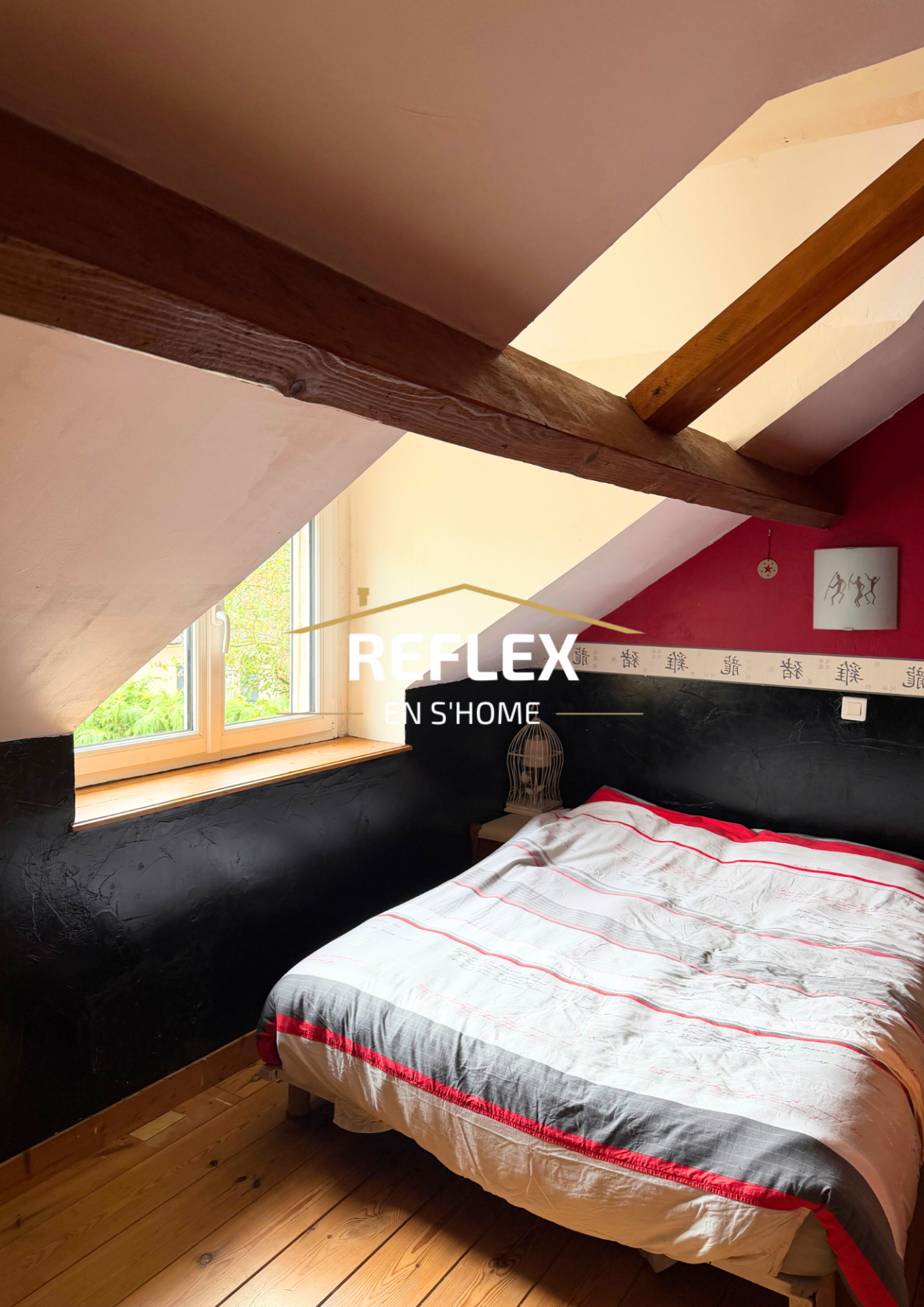 Photo 4 — REFLEX EN S'HOME ALBERT