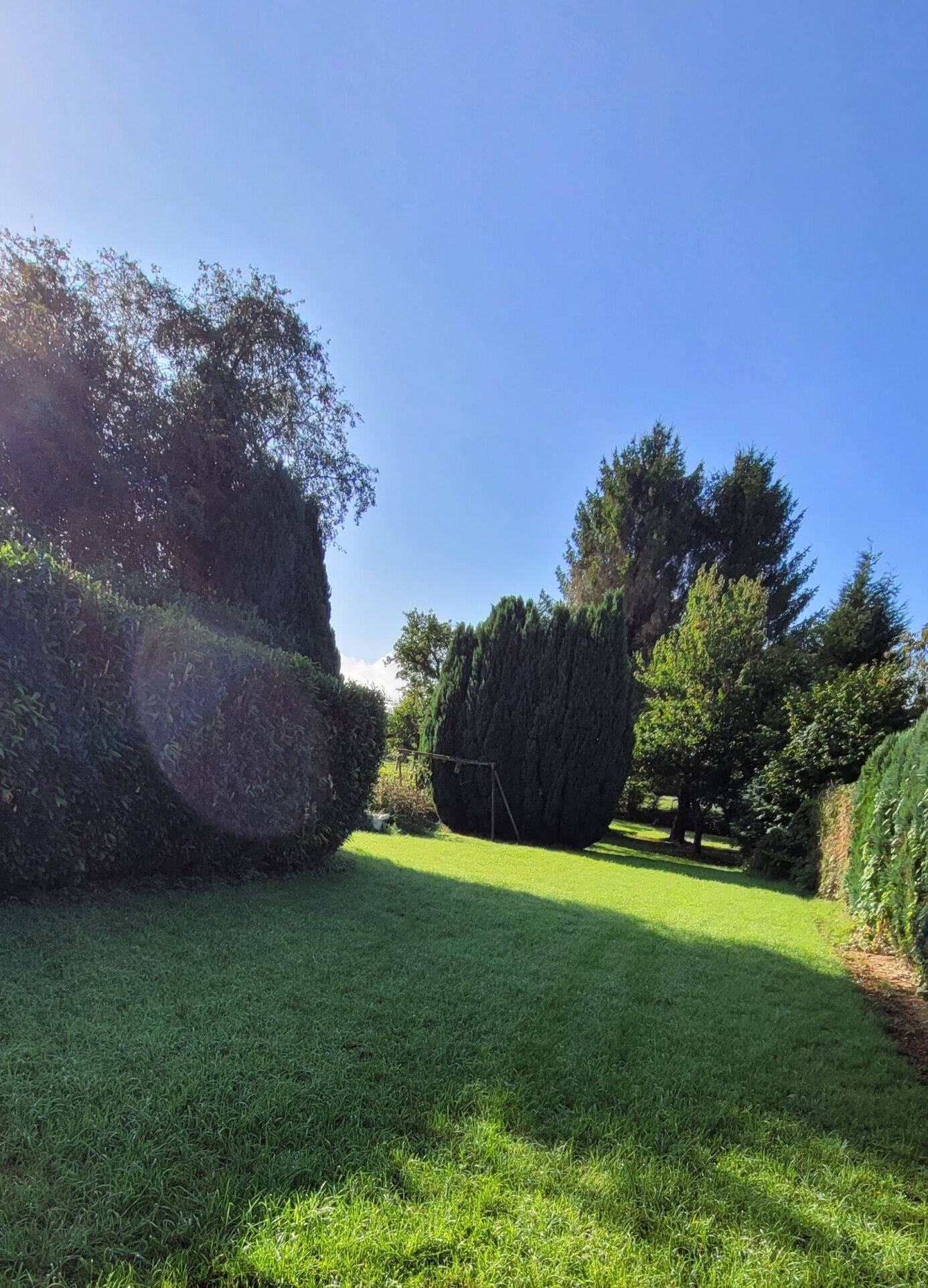 Photo 3 — REFLEX EN S'HOME ALBERT