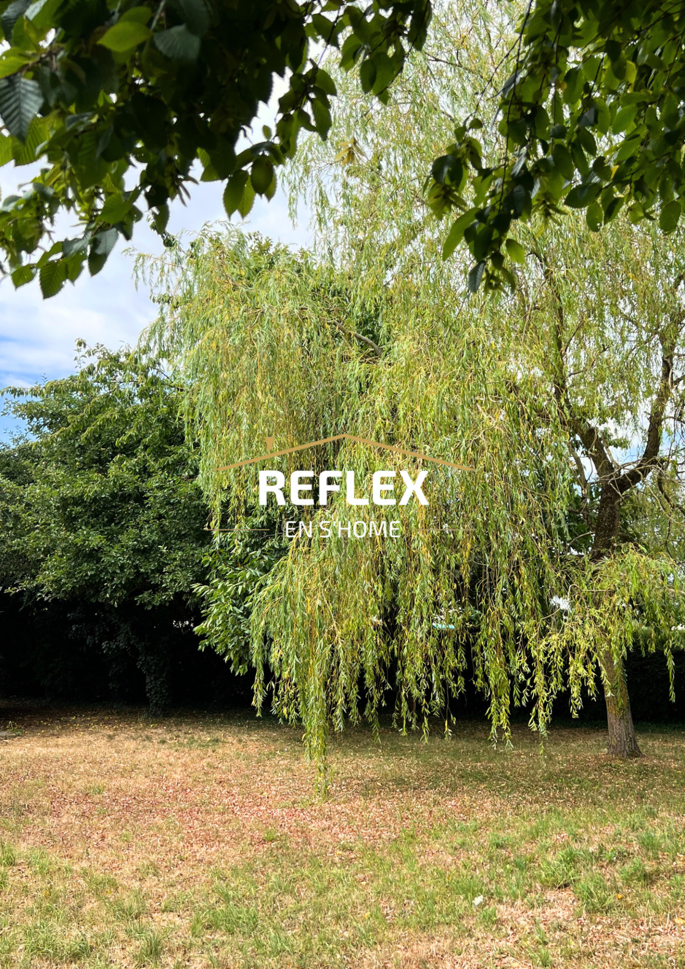 Photo 4 — REFLEX EN S'HOME ALBERT
