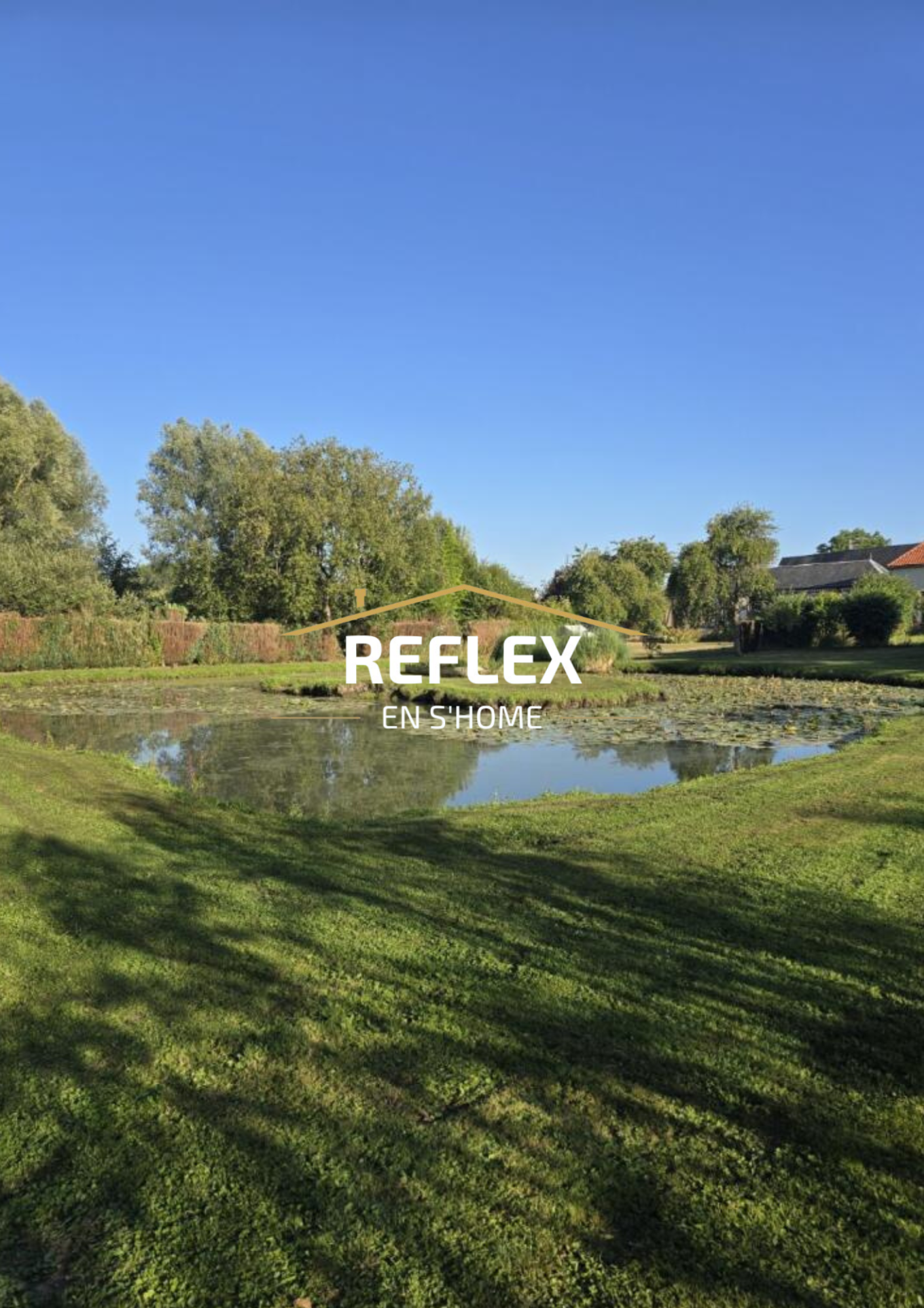 Photo 7 — REFLEX EN S'HOME ALBERT