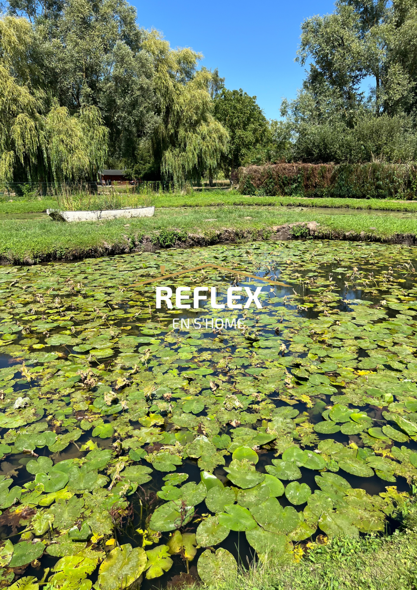 Photo 16 — REFLEX EN S'HOME ALBERT