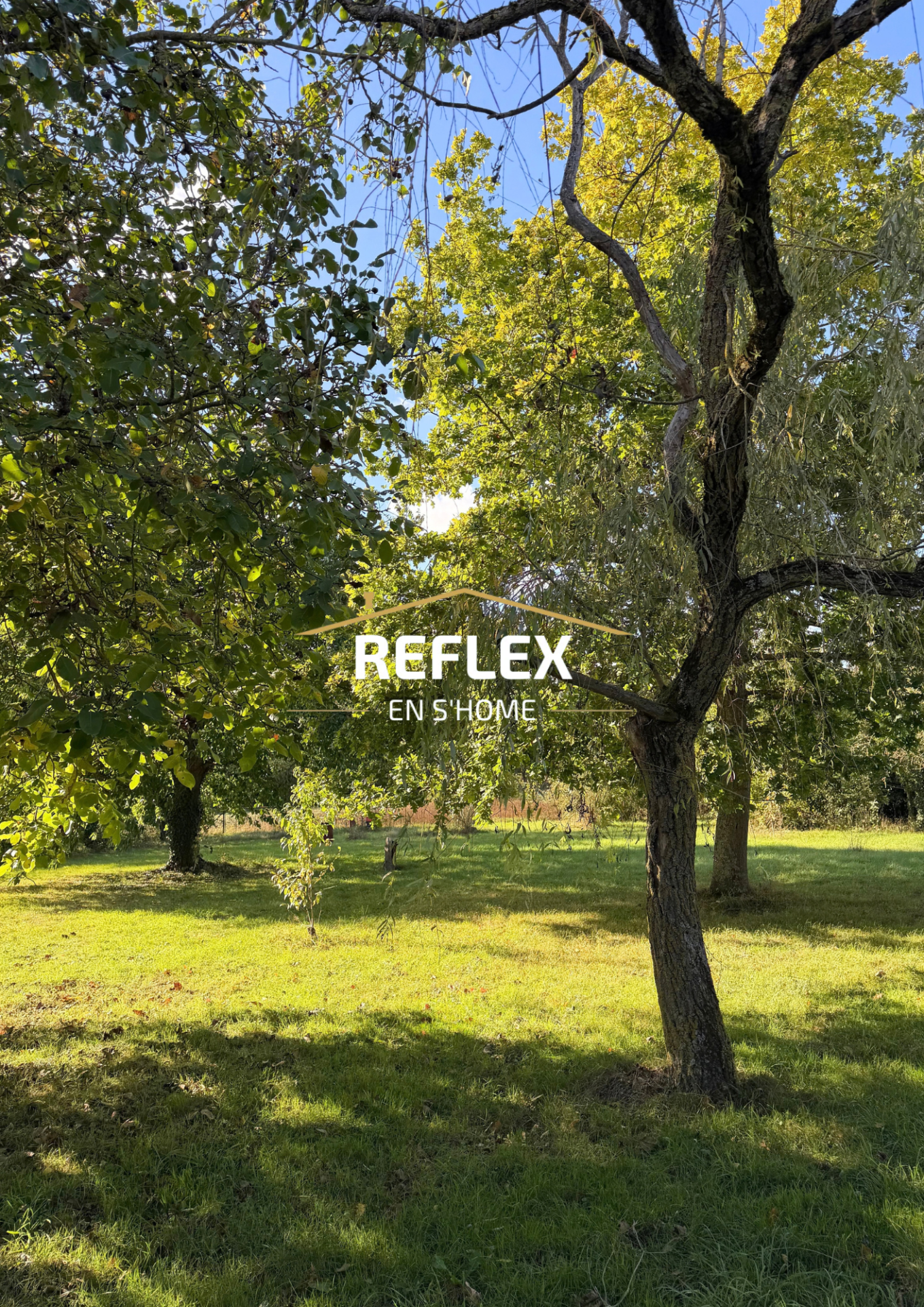Photo 3 — REFLEX EN S'HOME ALBERT