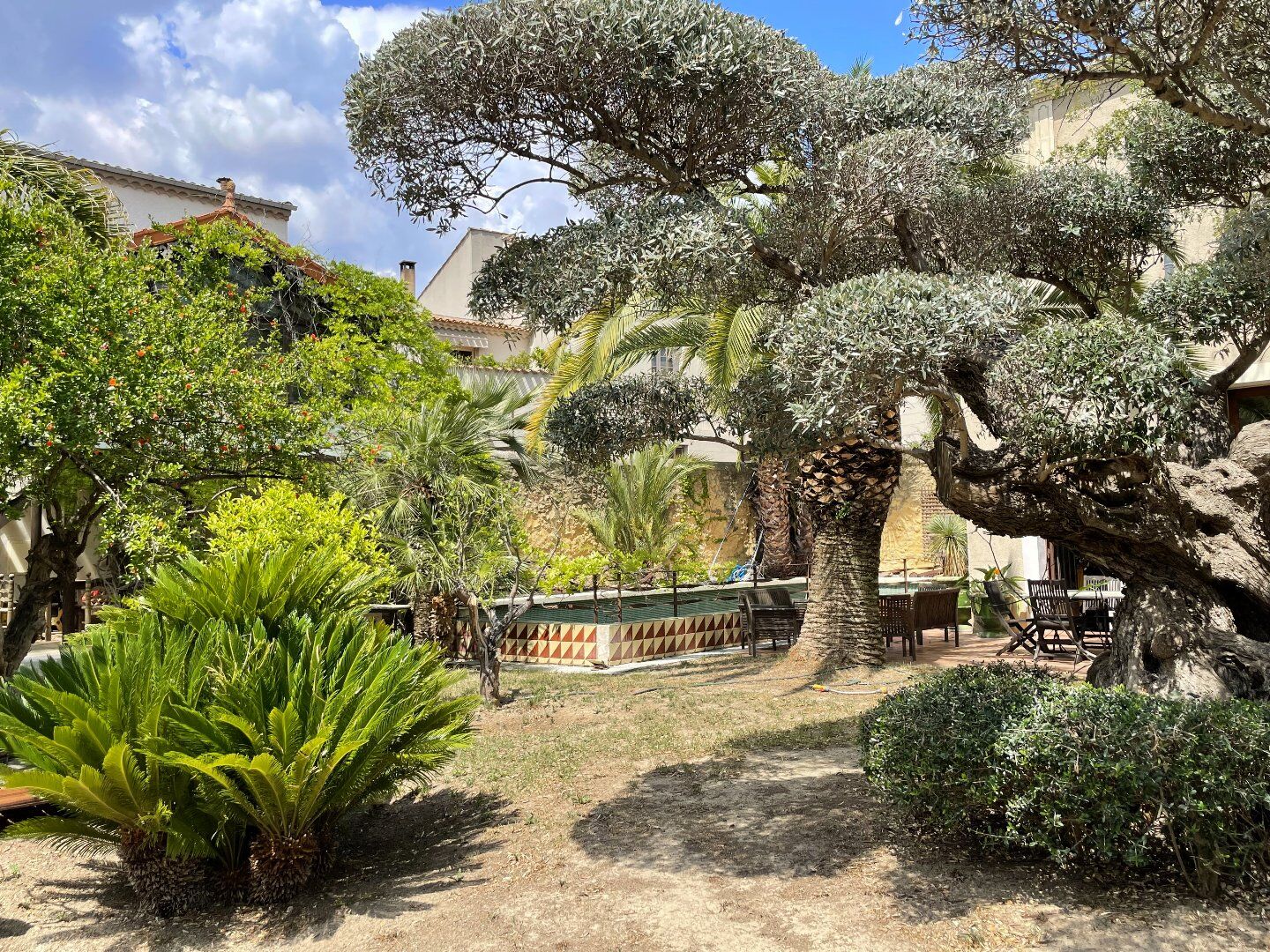 Photo 4 — AGENCE INTERNATIONALE ALBERT HONIG