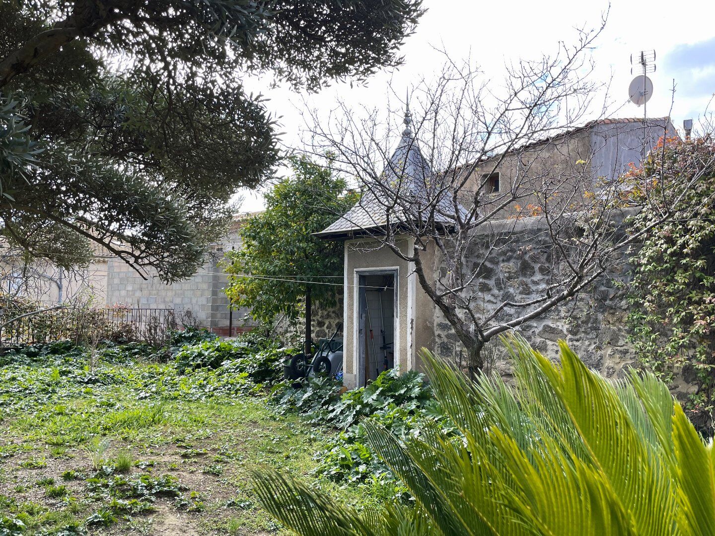 Photo 10 — AGENCE INTERNATIONALE ALBERT HONIG