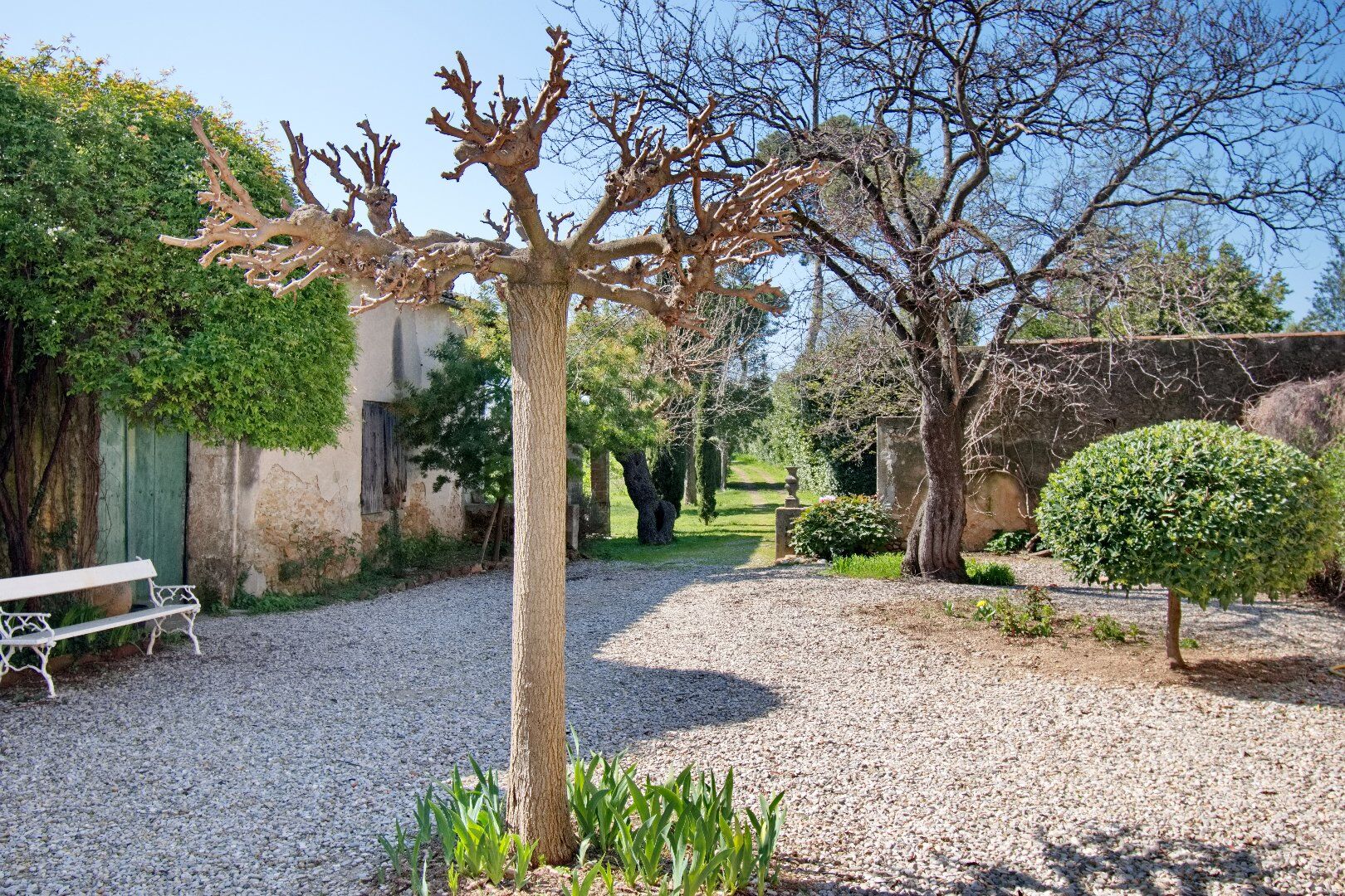 Photo 3 — AGENCE INTERNATIONALE ALBERT HONIG