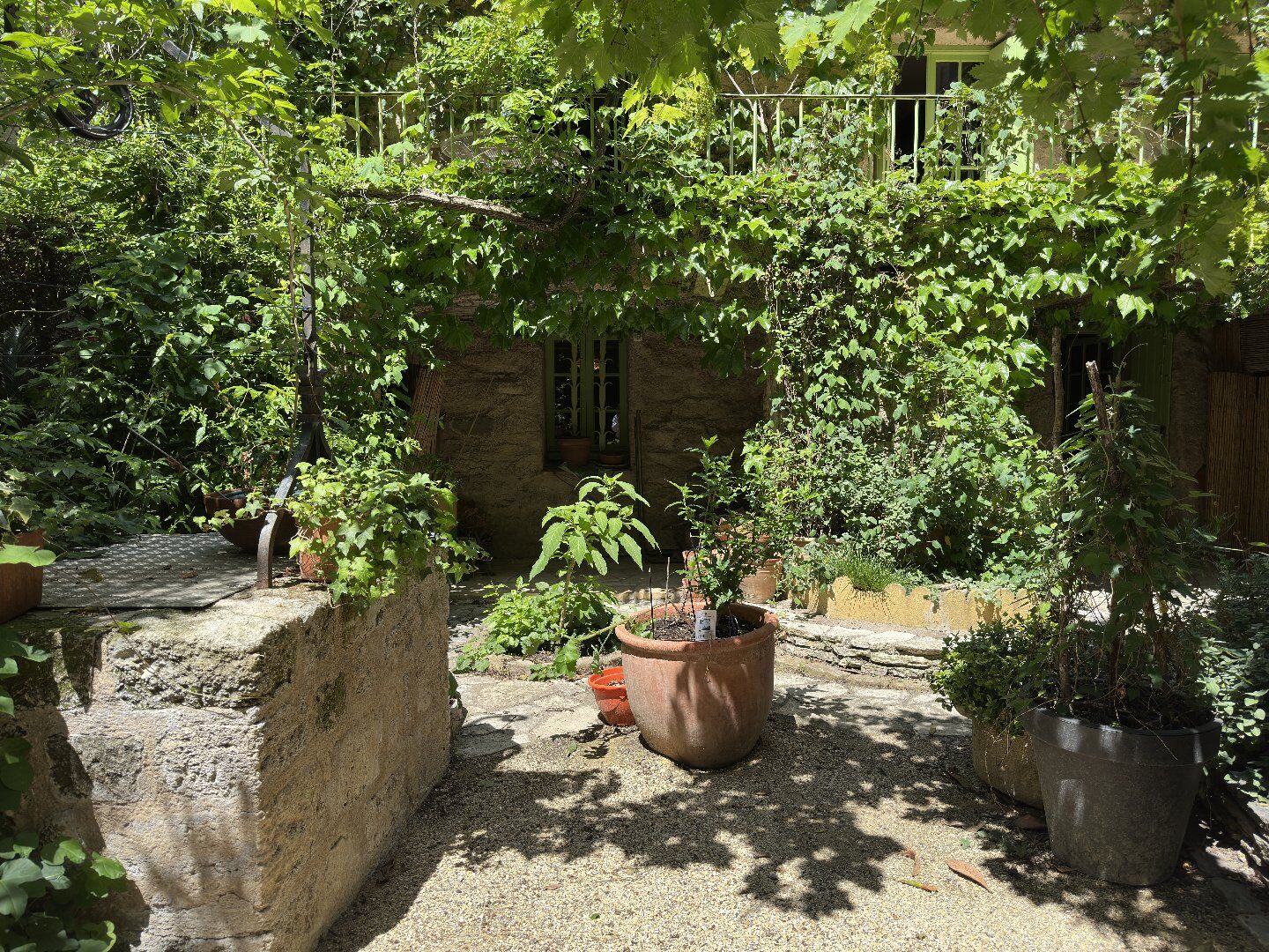 Photo 19 — AGENCE INTERNATIONALE ALBERT HONIG