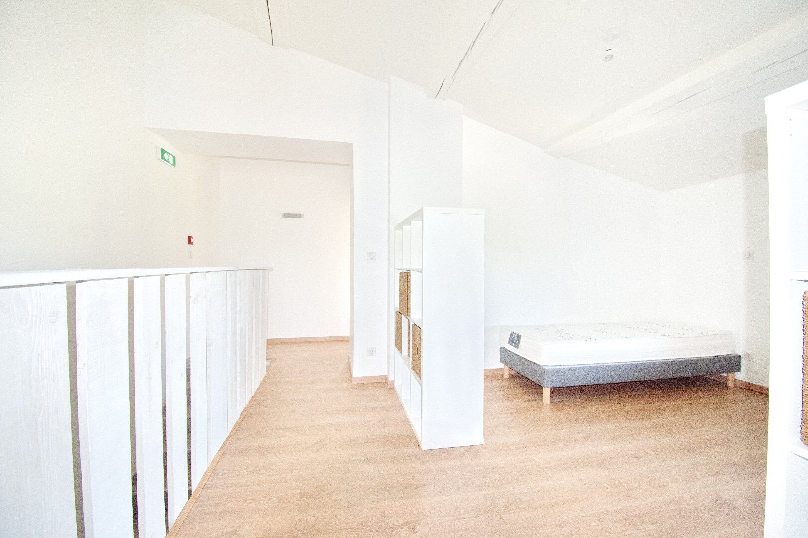 Photo 12 — AGENCE INTERNATIONALE ALBERT HONIG