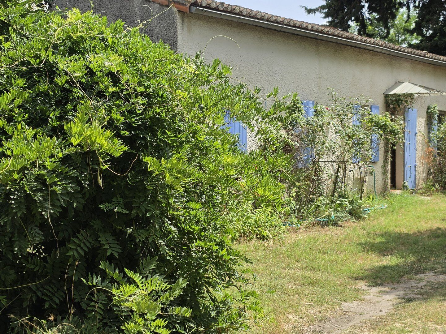 Photo 7 — AGENCE INTERNATIONALE ALBERT HONIG