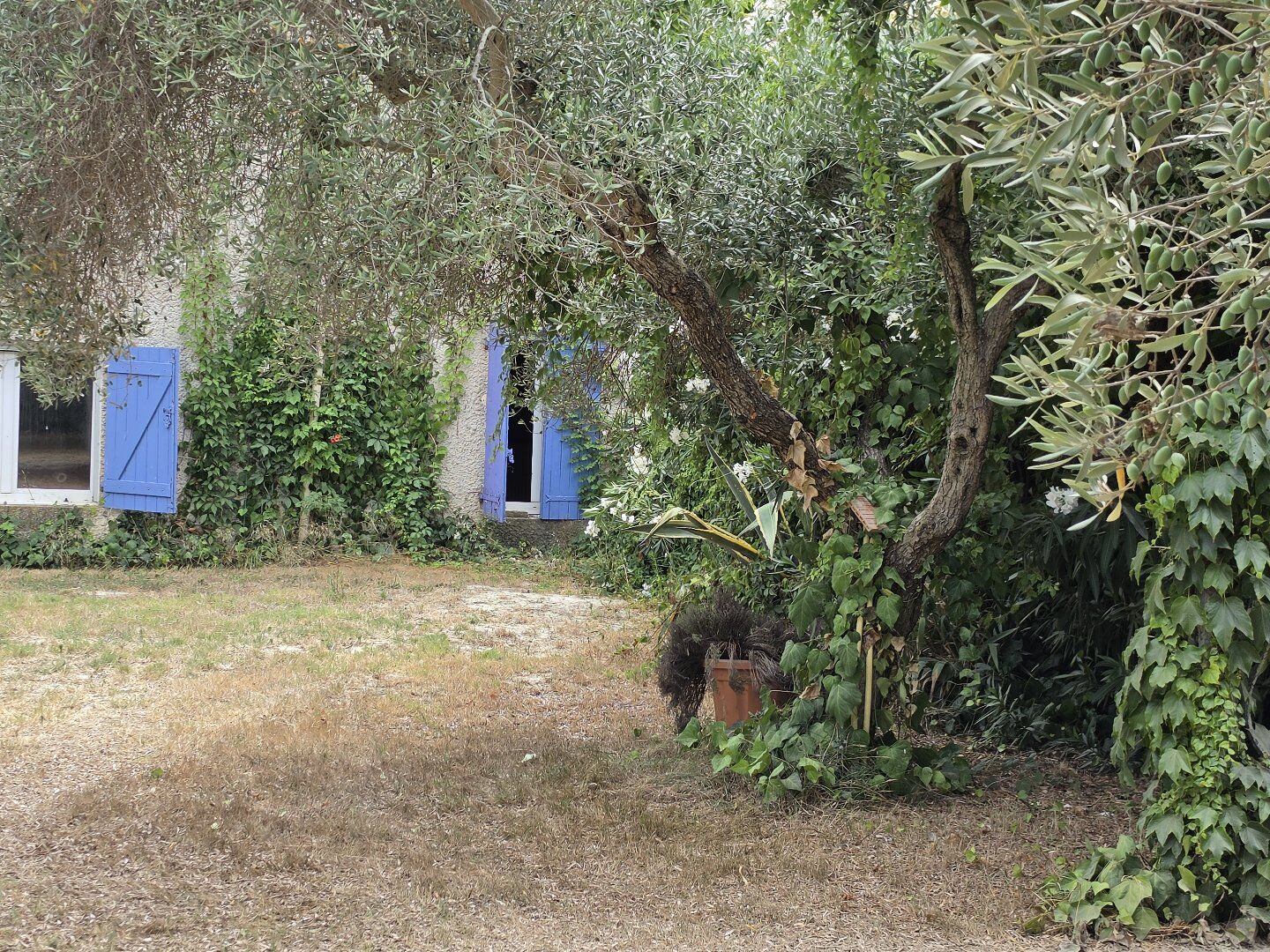 Photo 6 — AGENCE INTERNATIONALE ALBERT HONIG