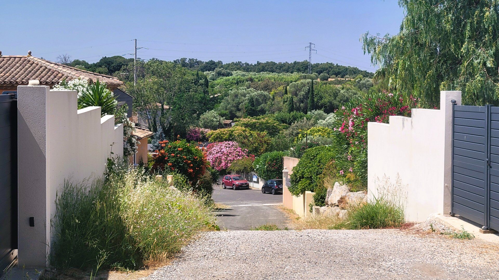 Photo 18 — AGENCE INTERNATIONALE ALBERT HONIG