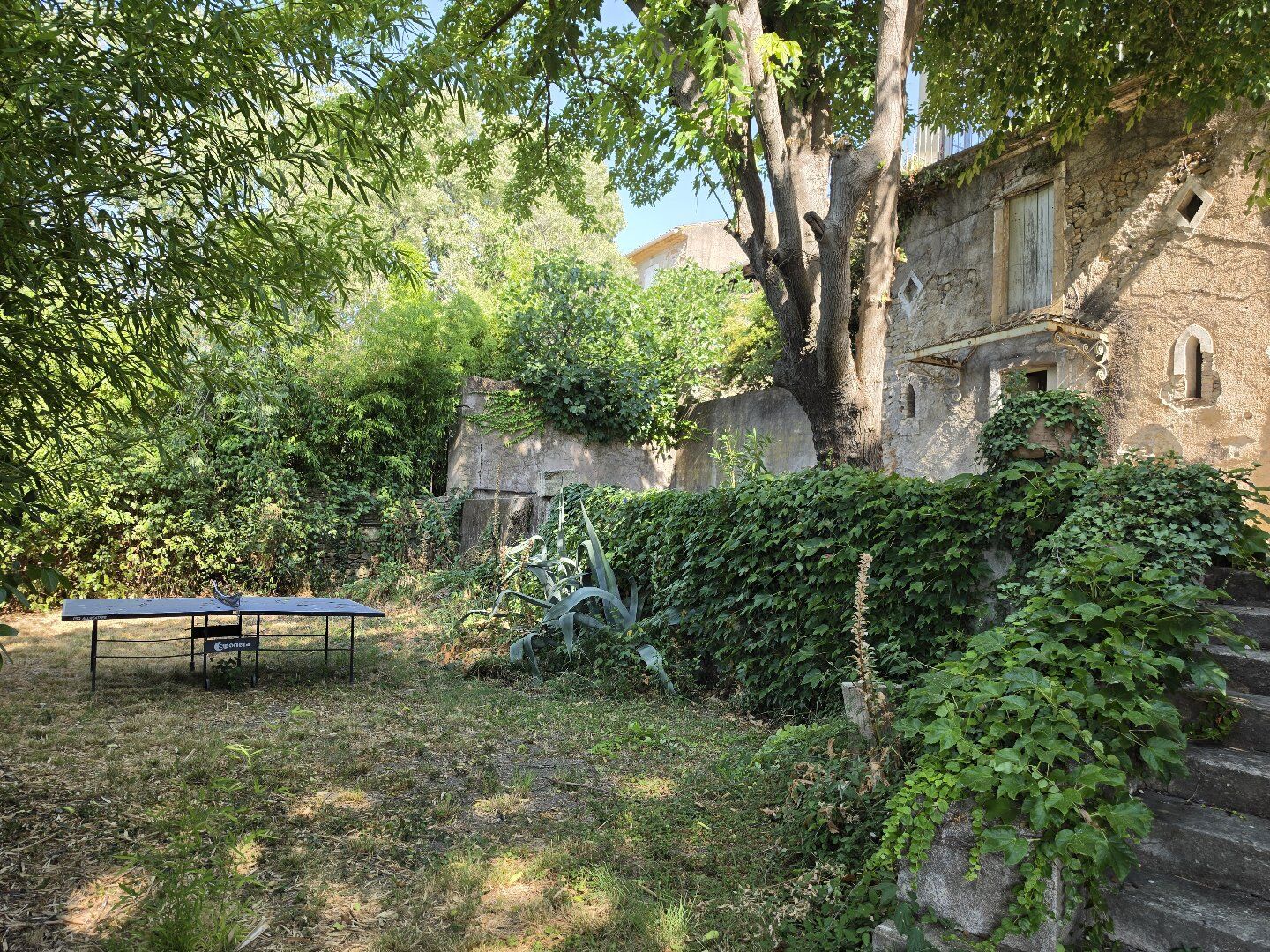 Photo 4 — AGENCE INTERNATIONALE ALBERT HONIG