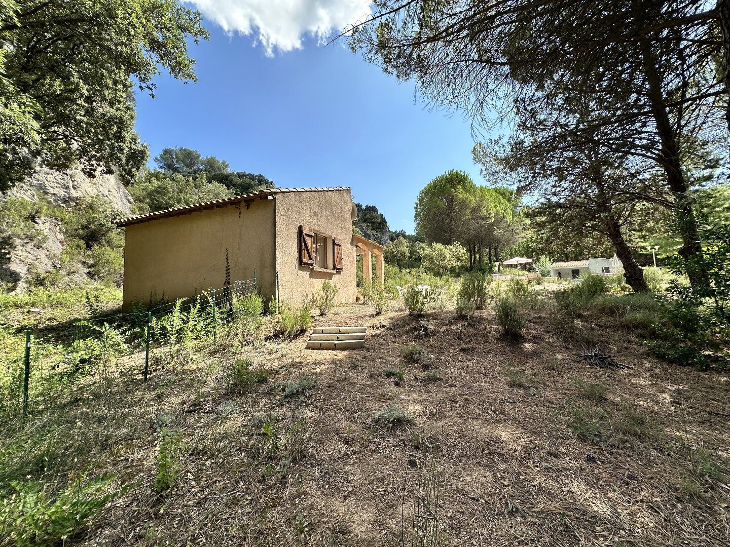 Photo 20 — AGENCE INTERNATIONALE ALBERT HONIG