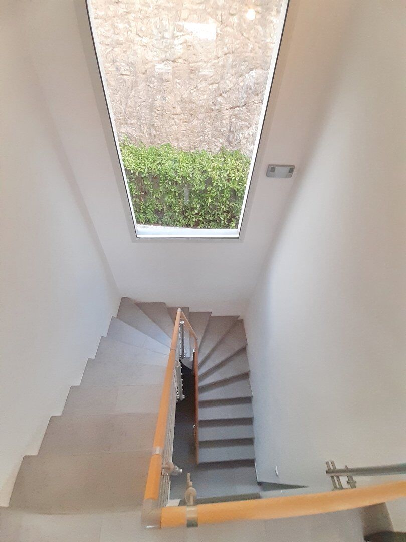 Photo 10 — AGENCE INTERNATIONALE ALBERT HONIG