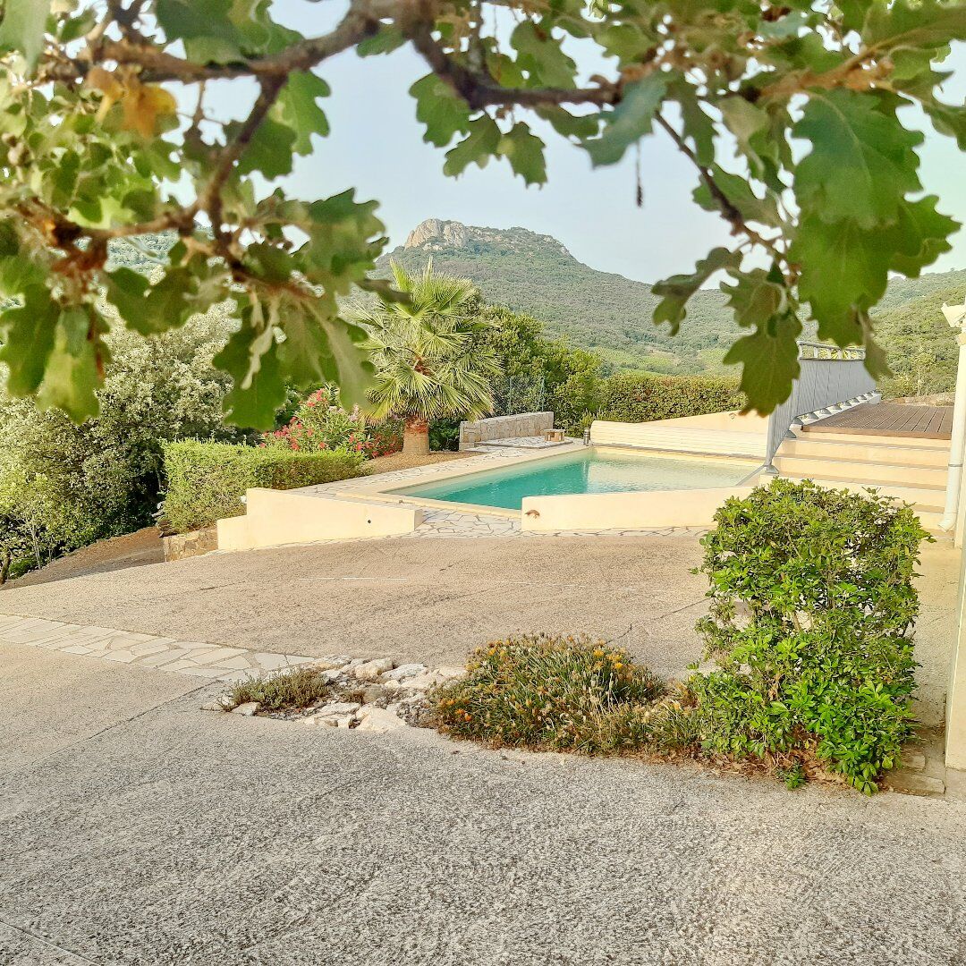 Photo 13 — AGENCE INTERNATIONALE ALBERT HONIG