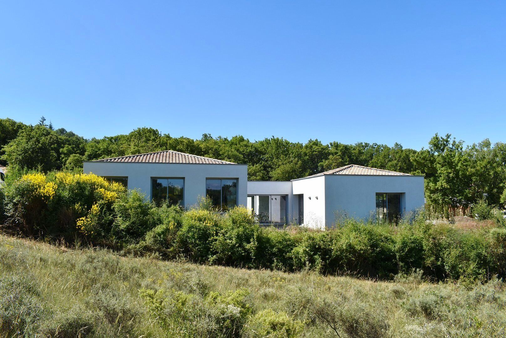 Photo 9 — AGENCE INTERNATIONALE ALBERT HONIG