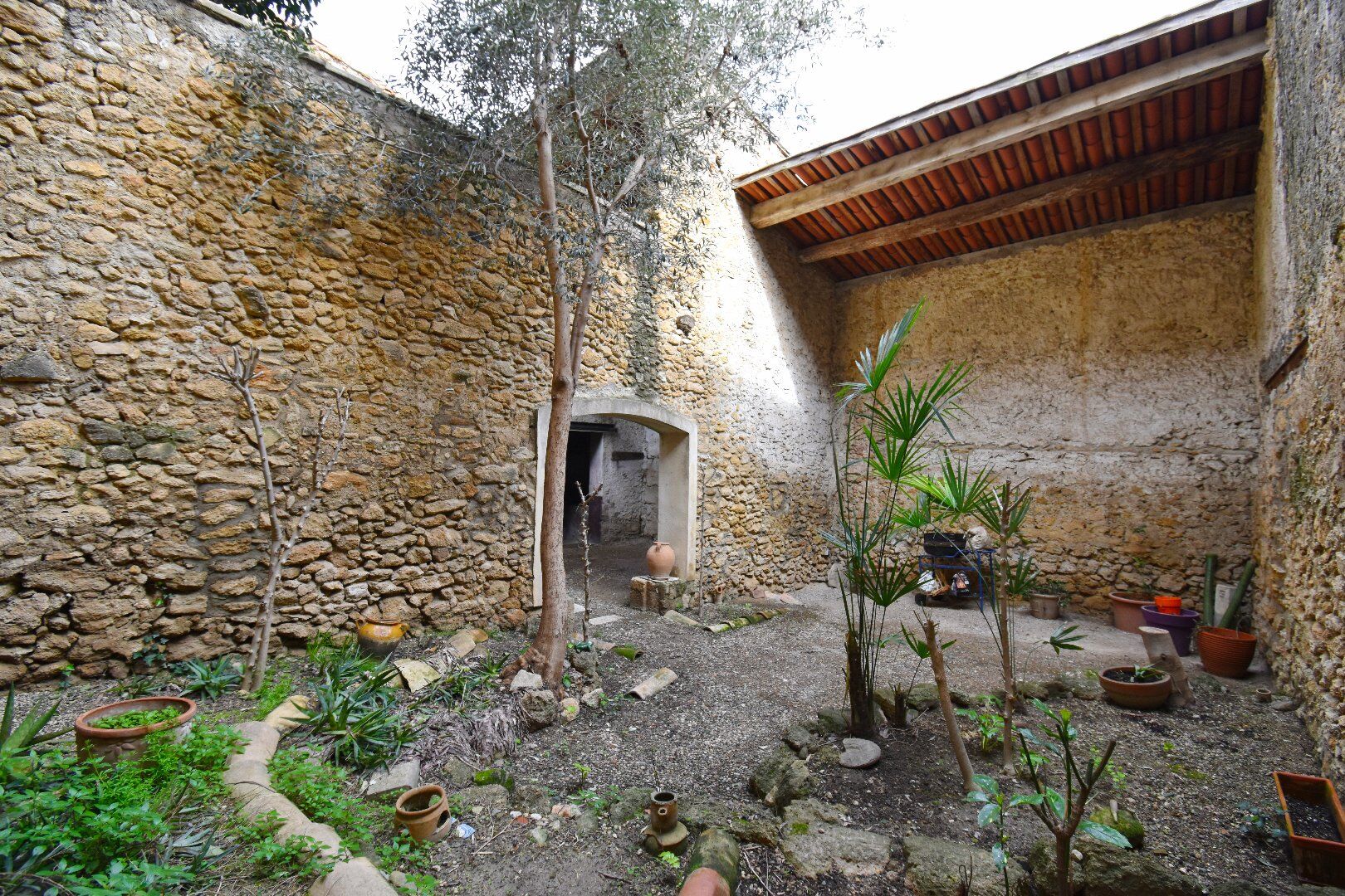 Photo 7 — AGENCE INTERNATIONALE ALBERT HONIG