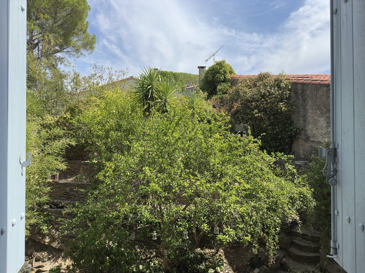 Photo 15 — AGENCE INTERNATIONALE ALBERT HONIG