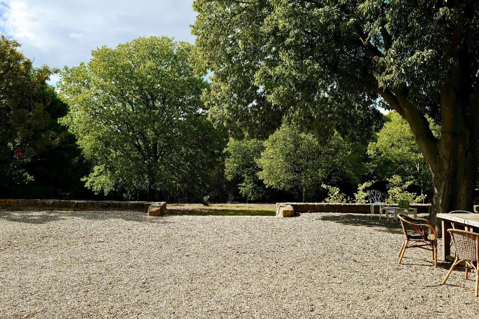 Photo 20 — AGENCE INTERNATIONALE ALBERT HONIG