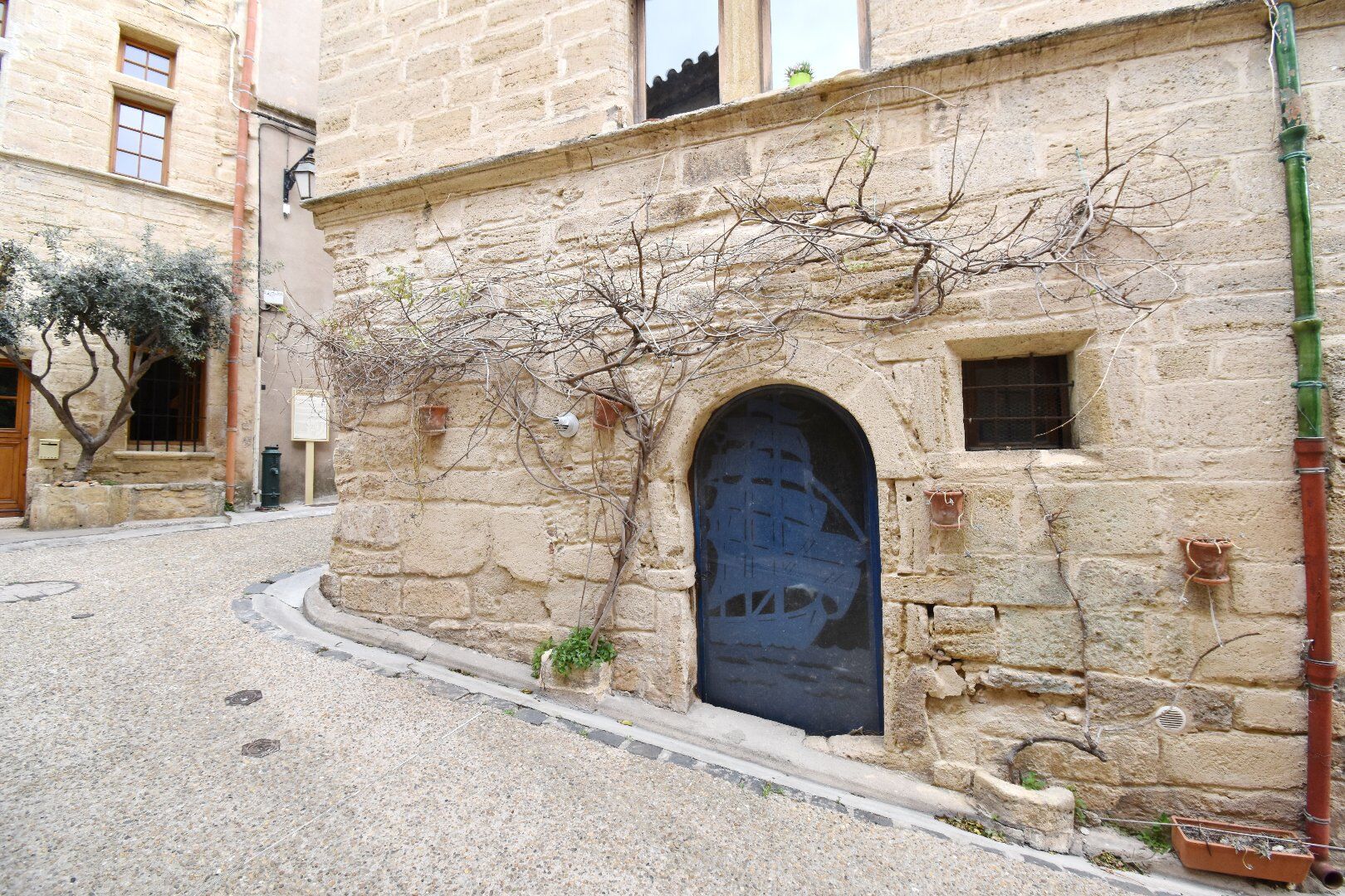Photo 7 — AGENCE INTERNATIONALE ALBERT HONIG