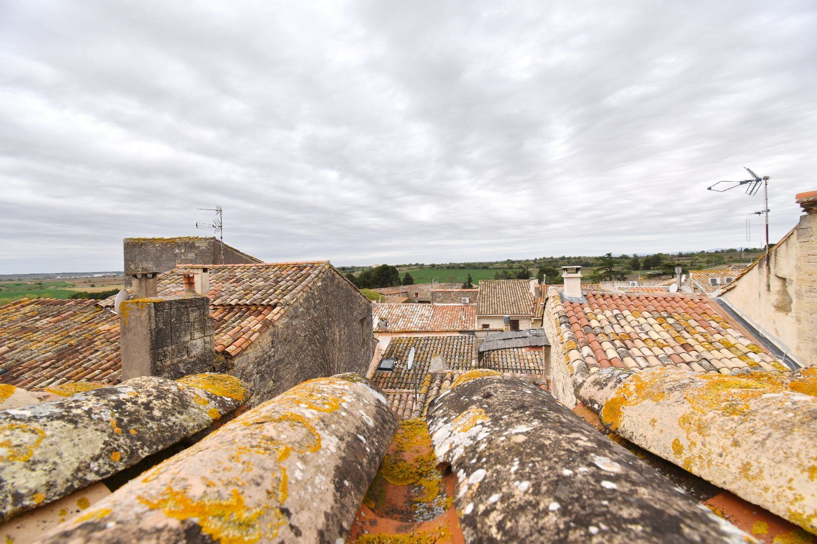 Photo 9 — AGENCE INTERNATIONALE ALBERT HONIG