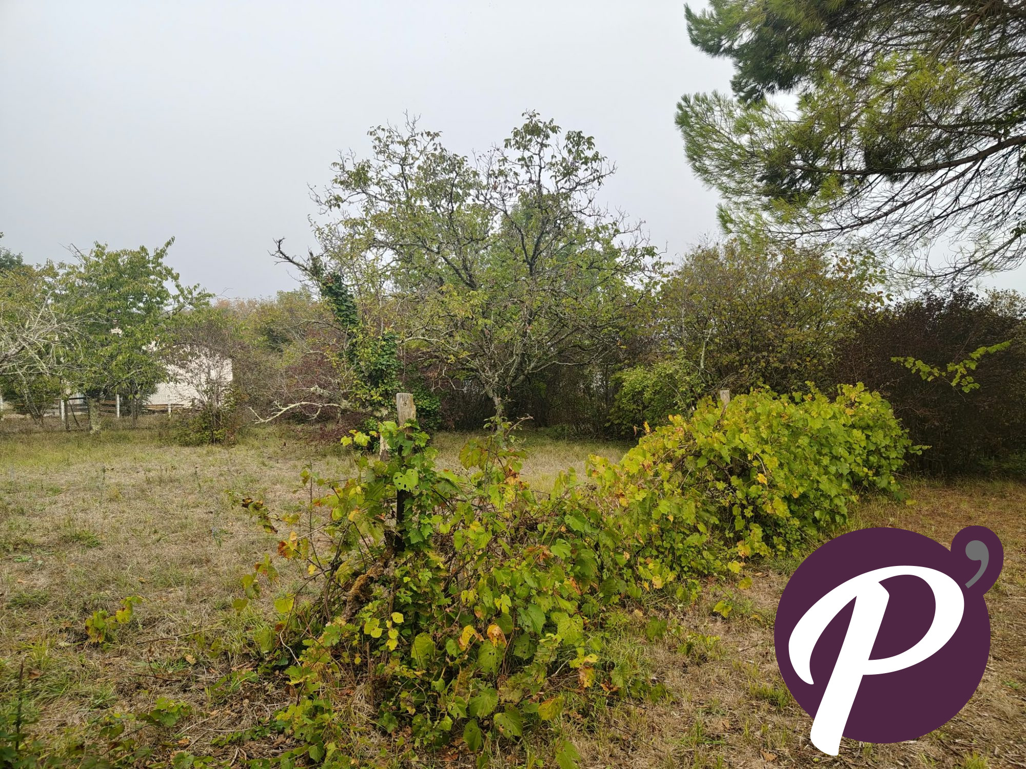 Photo 11 — POURPR'IMMO