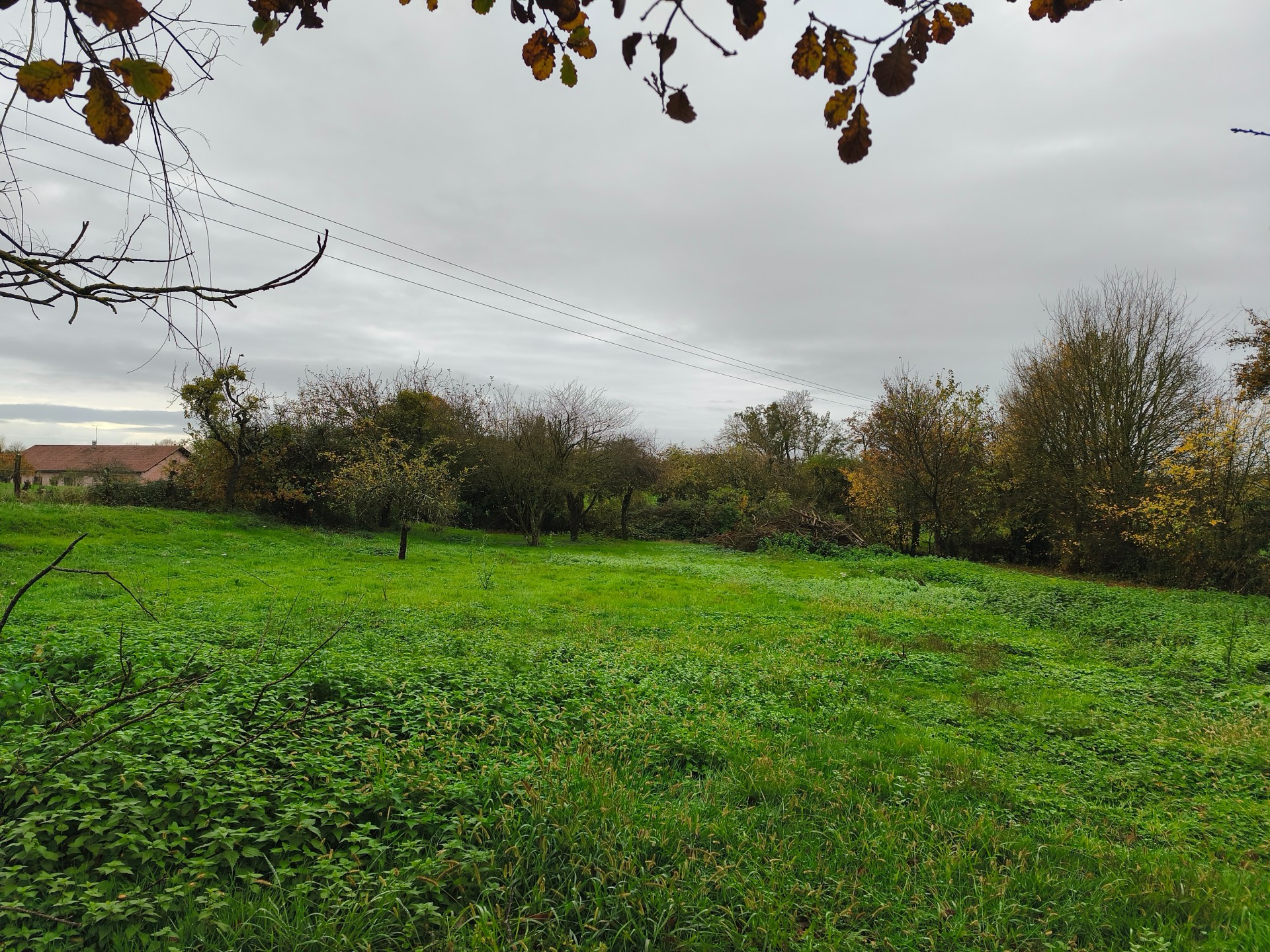 Photo 10 — IMMOBRESSE