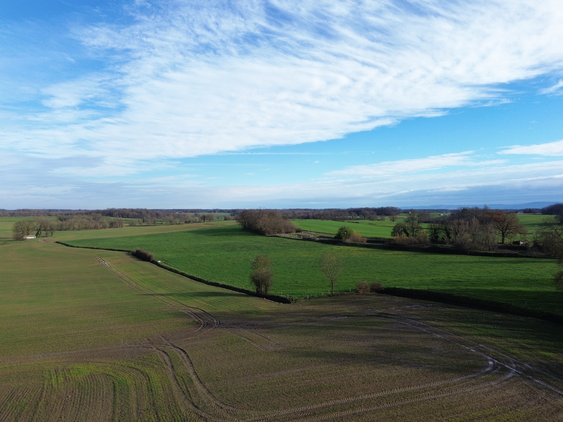 Photo 11 — IMMOBRESSE