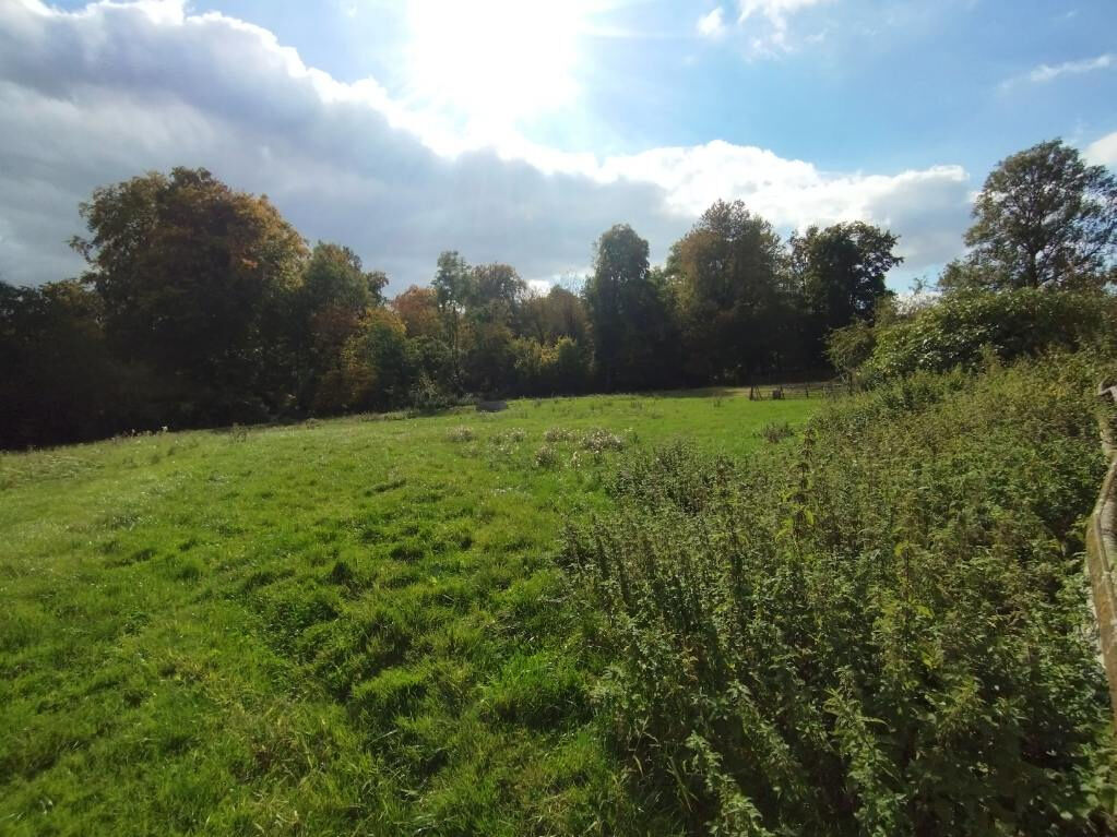 Photo 21 — DORIMMO