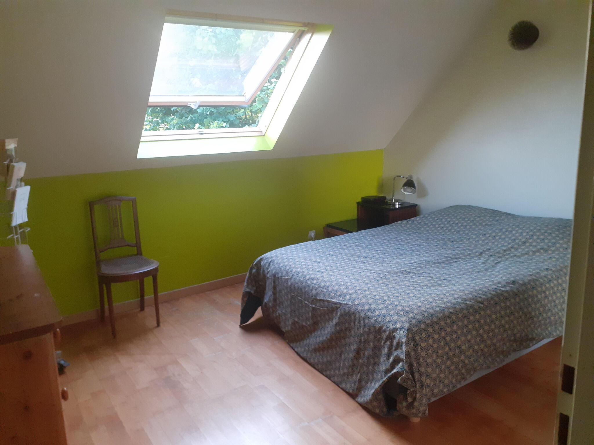 Photo 6 — DORIMMO