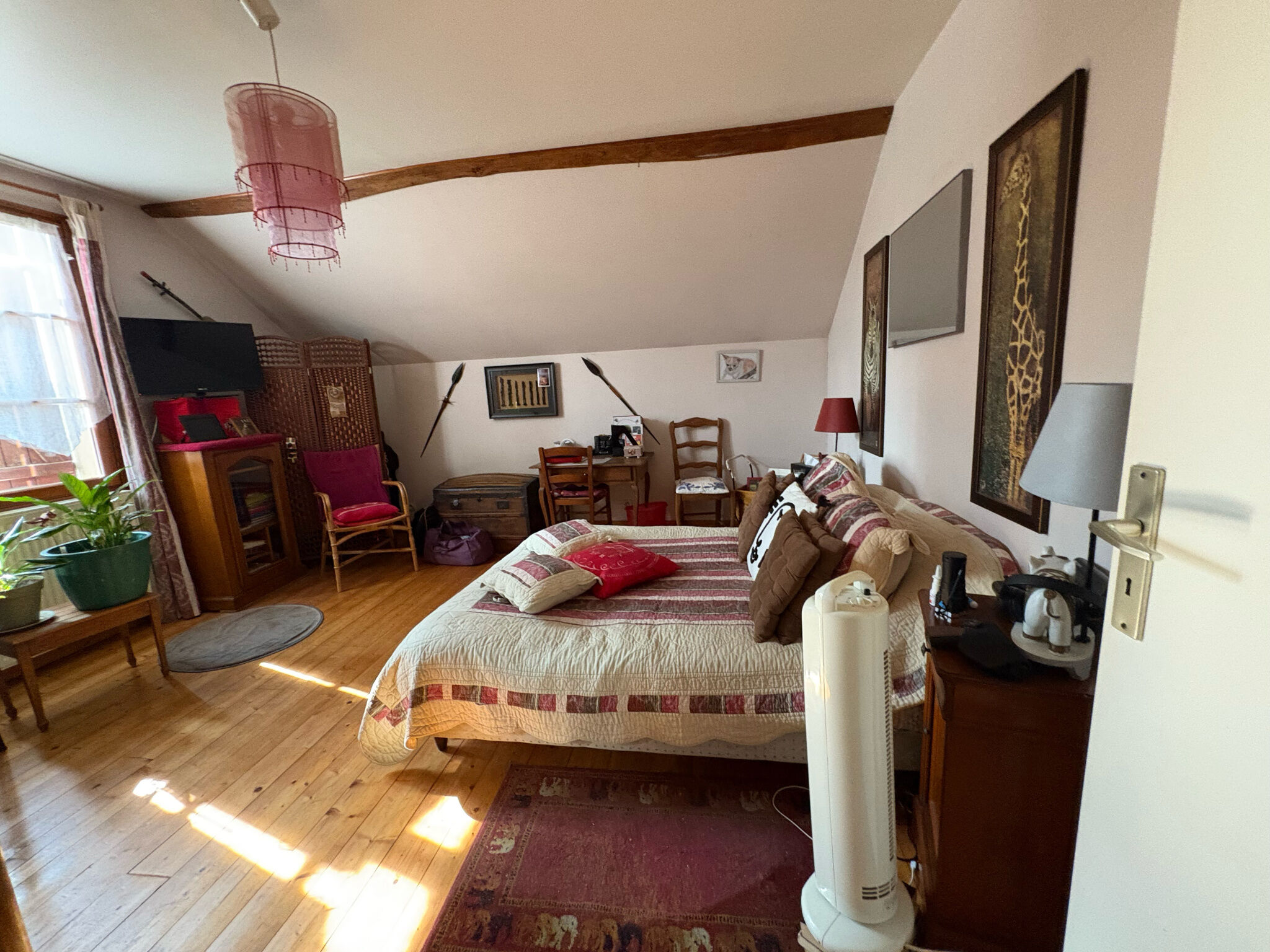 Photo 4 — DORIMMO