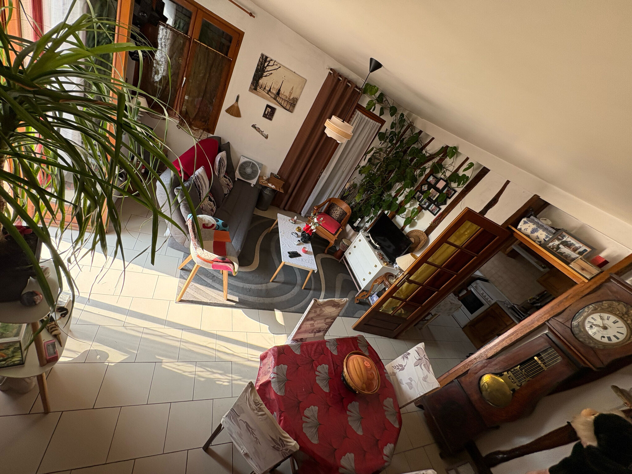 Photo 3 — DORIMMO