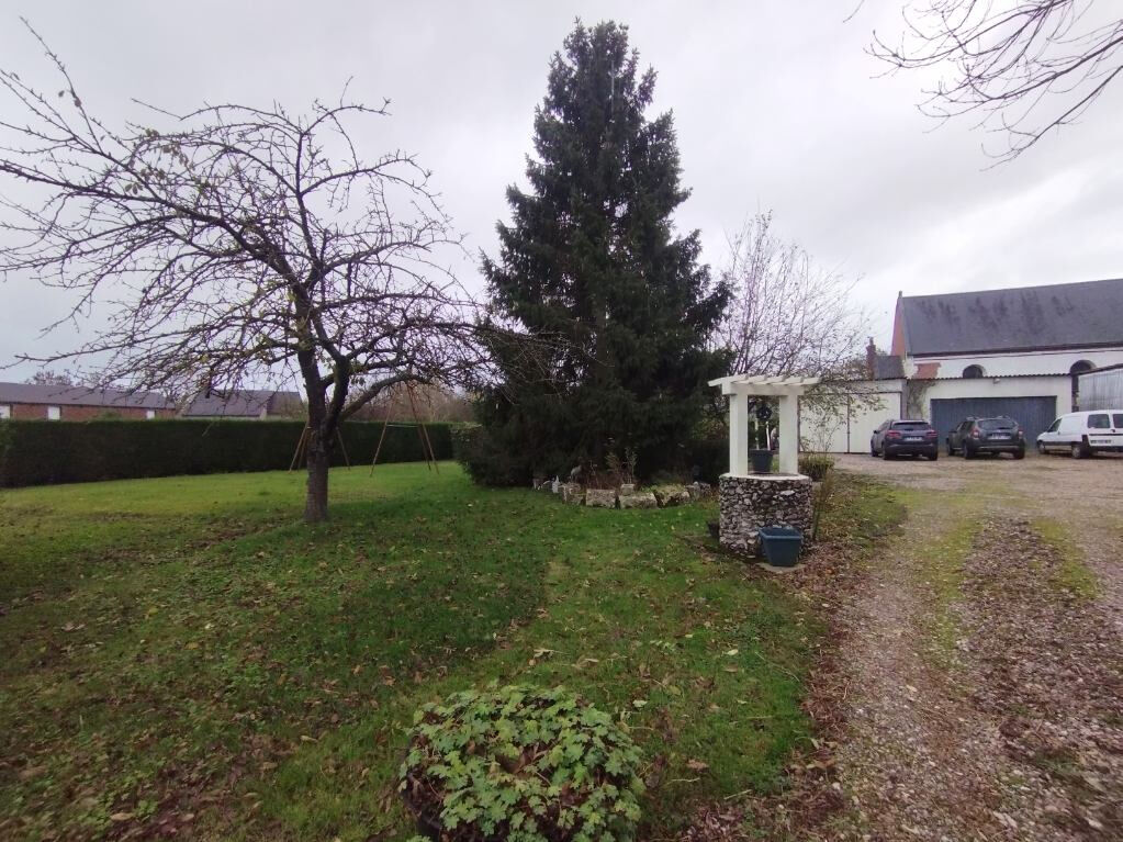 Photo 16 — DORIMMO