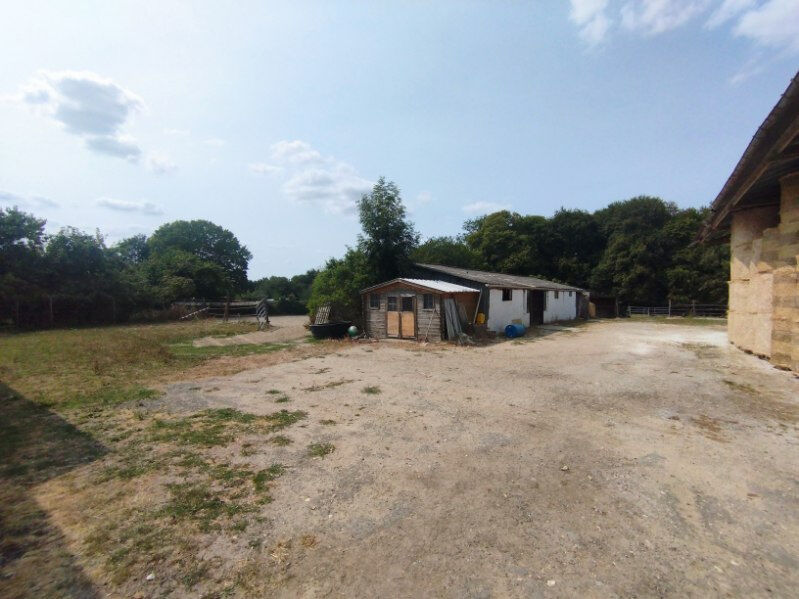 Photo 13 — DORIMMO