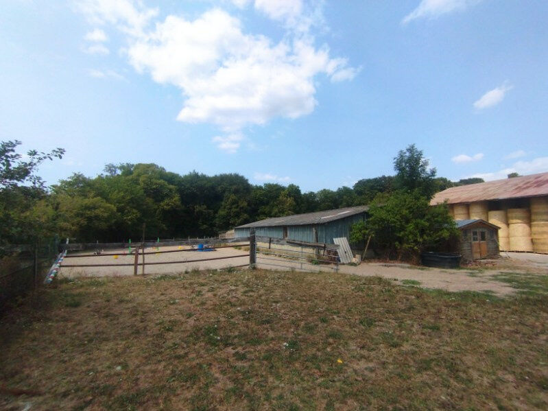 Photo 14 — DORIMMO