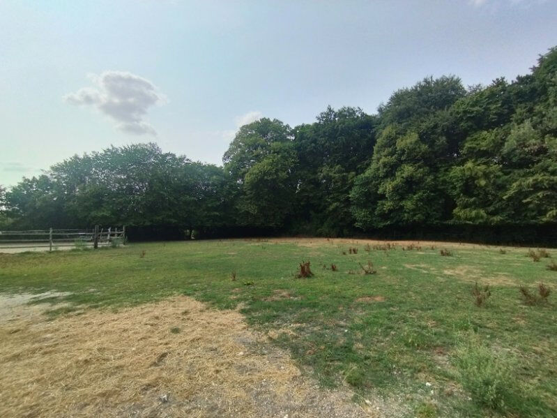 Photo 15 — DORIMMO
