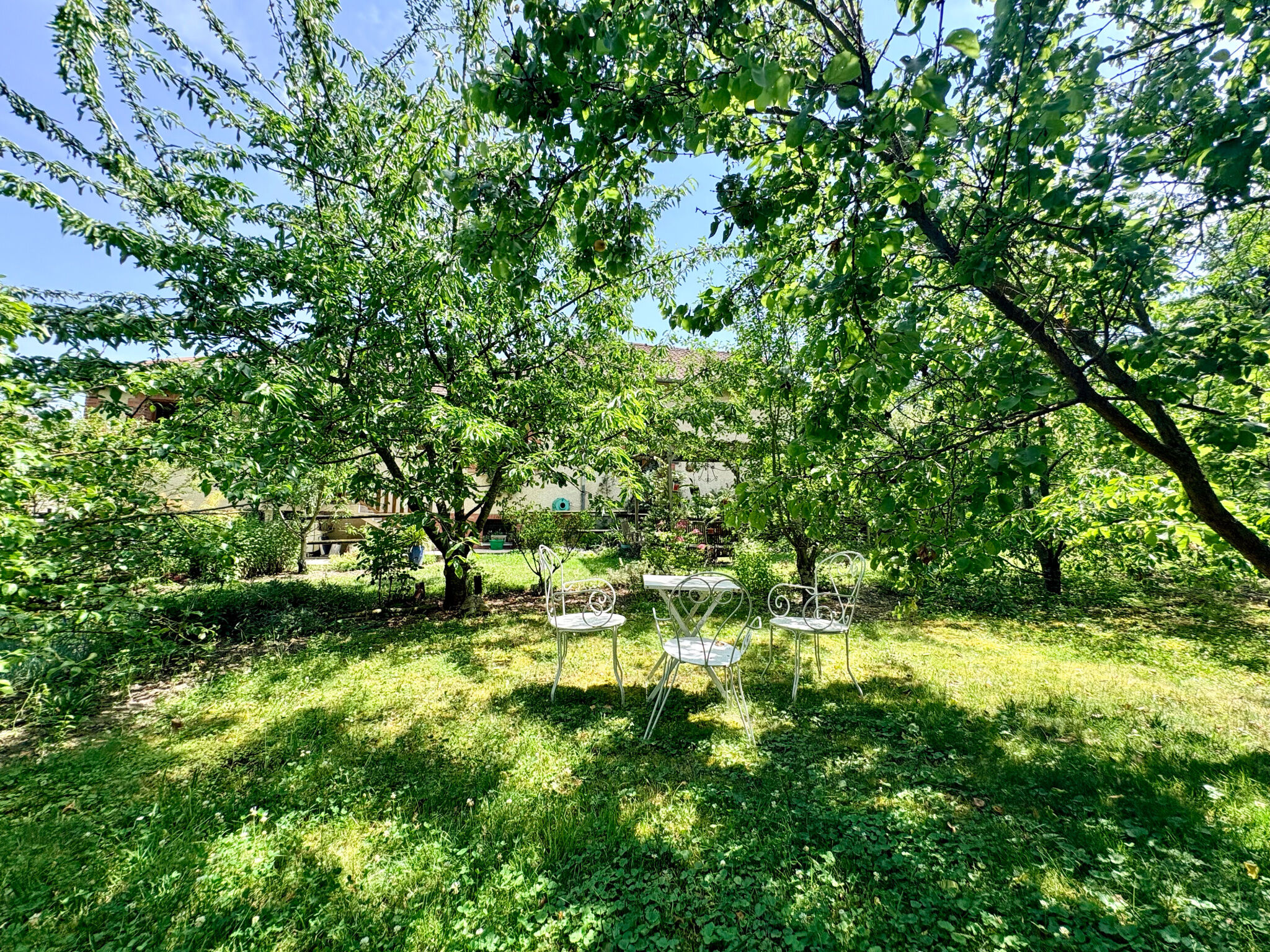Photo 17 — DORIMMO