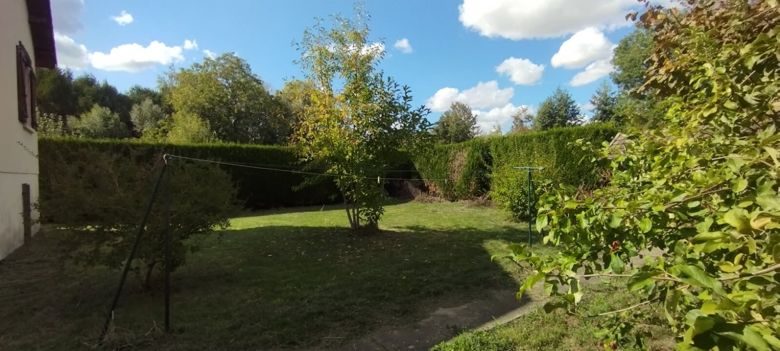 Photo 13 — DORIMMO