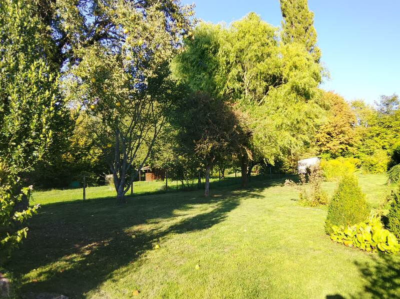 Photo 10 — DORIMMO