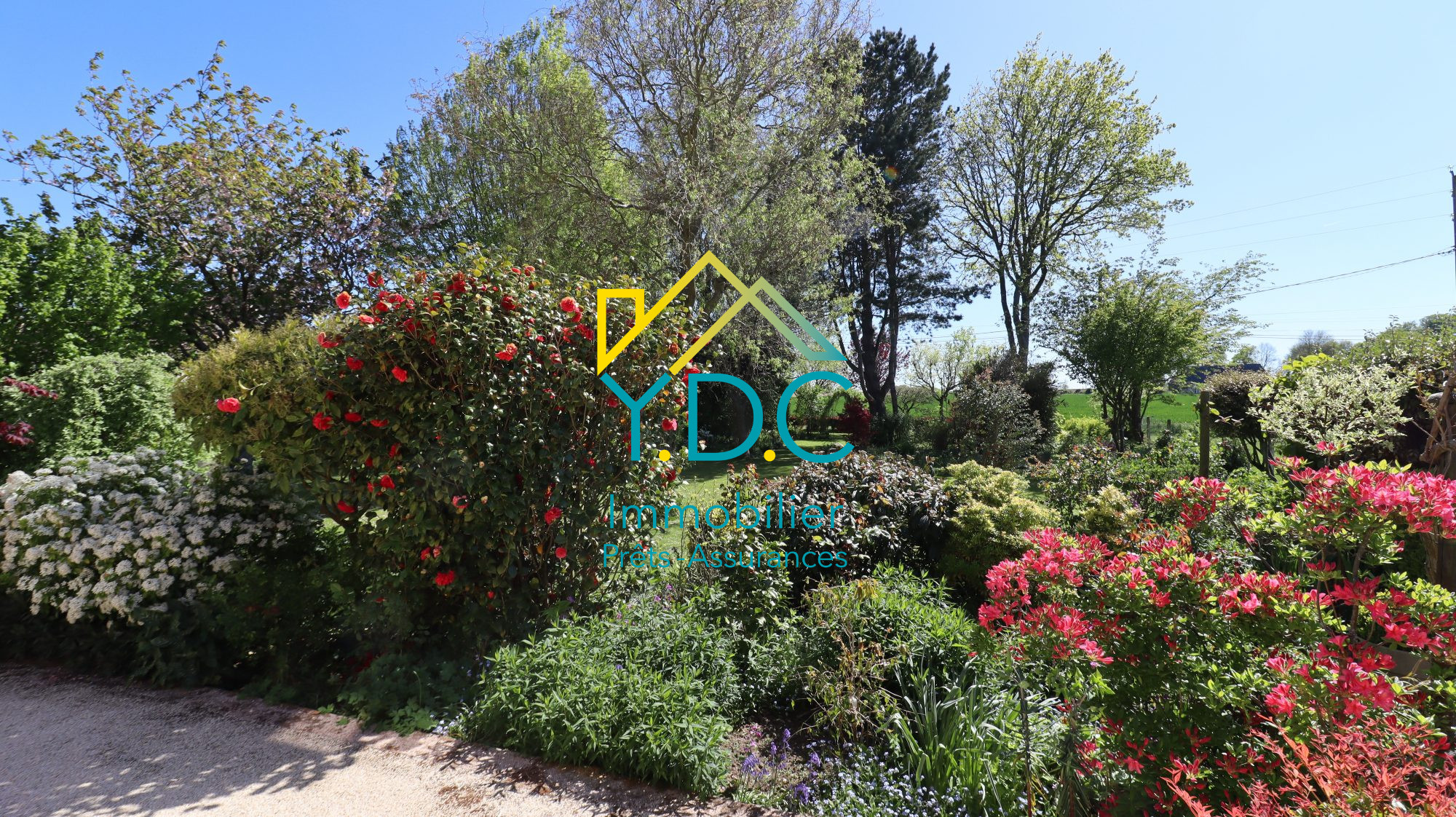 Photo 3 — Y.D.C IMMOBILIER ET COURTAGE