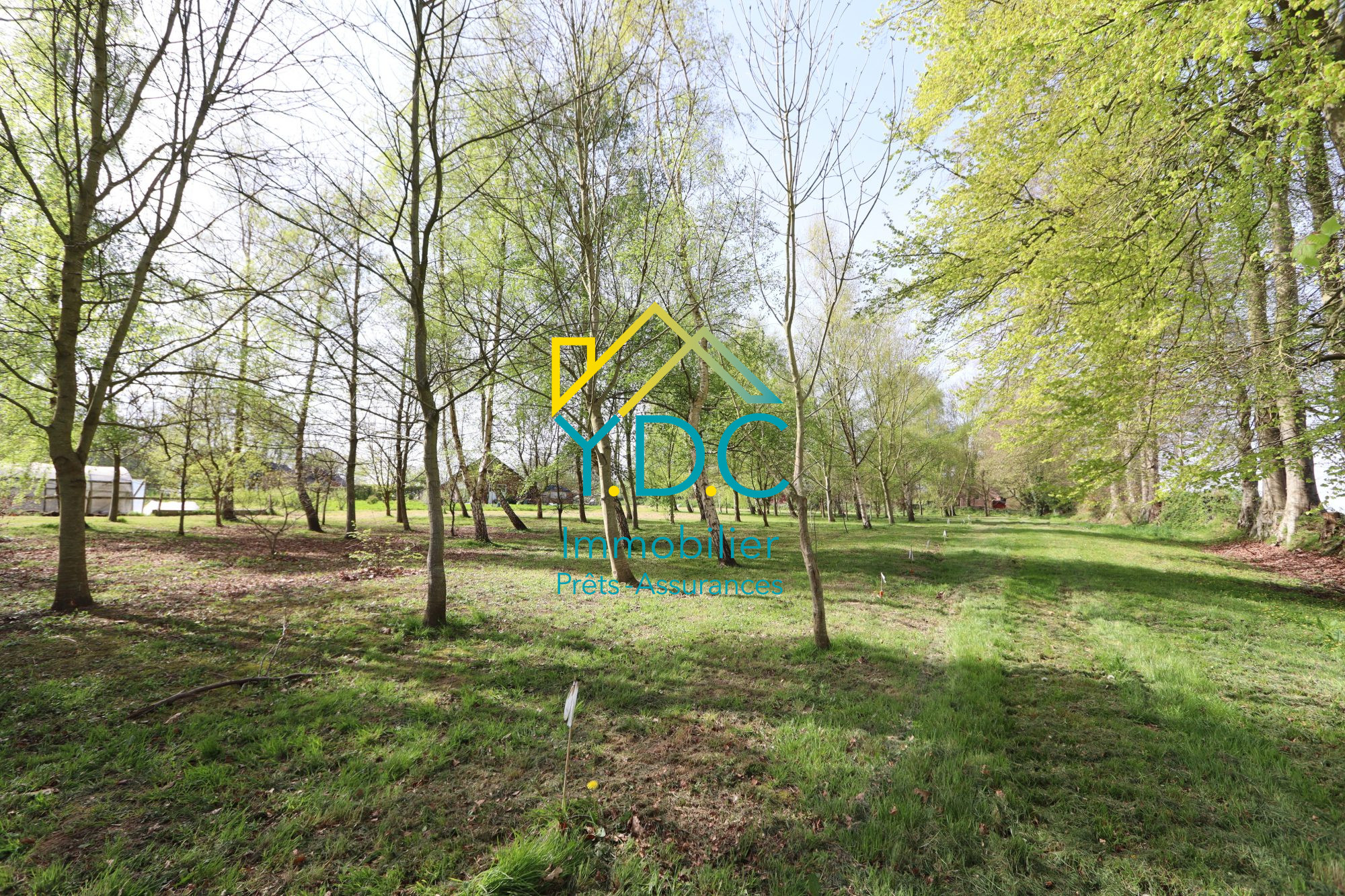 Photo 3 — Y.D.C IMMOBILIER ET COURTAGE