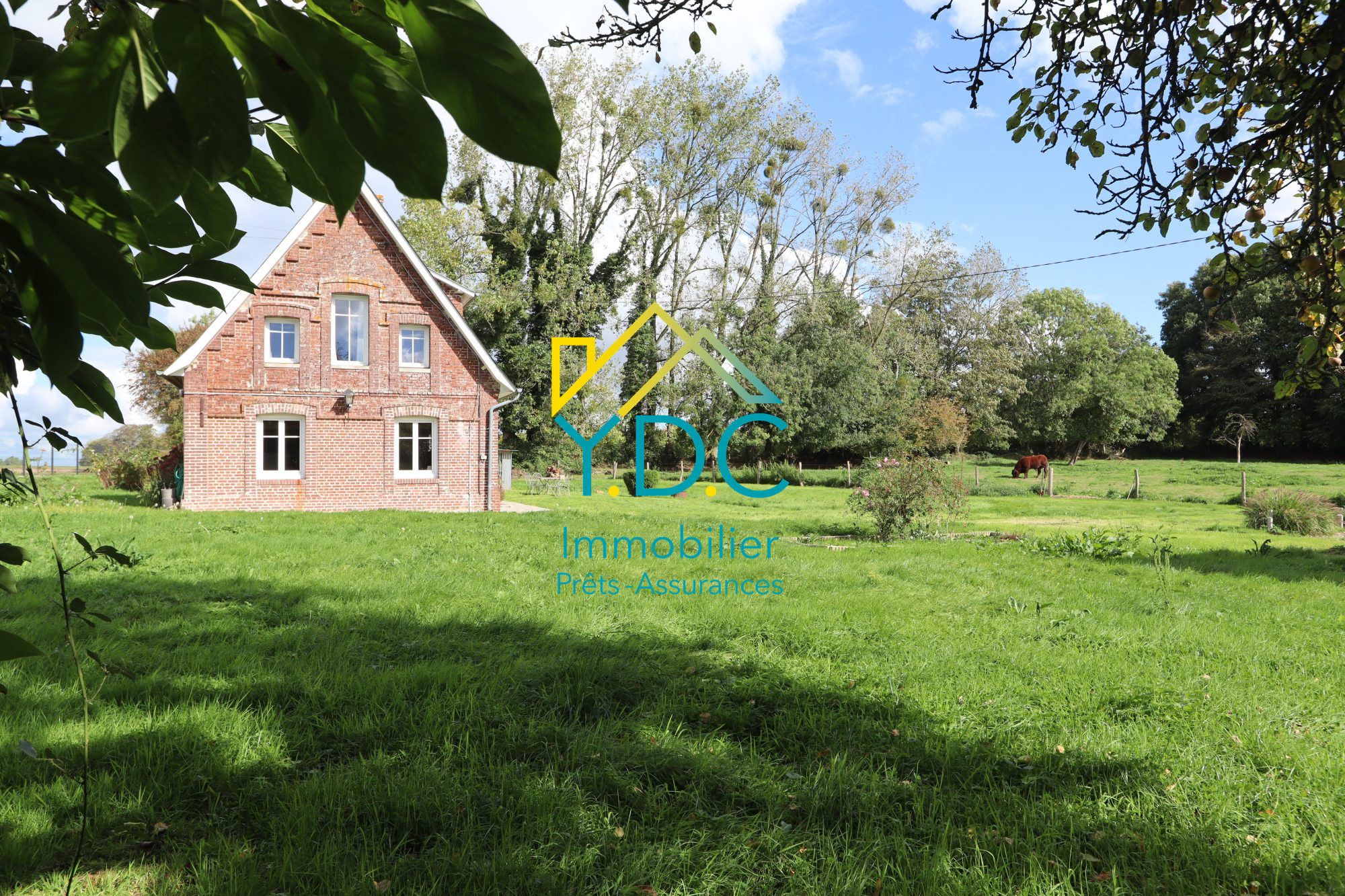 Photo 3 — Y.D.C IMMOBILIER ET COURTAGE